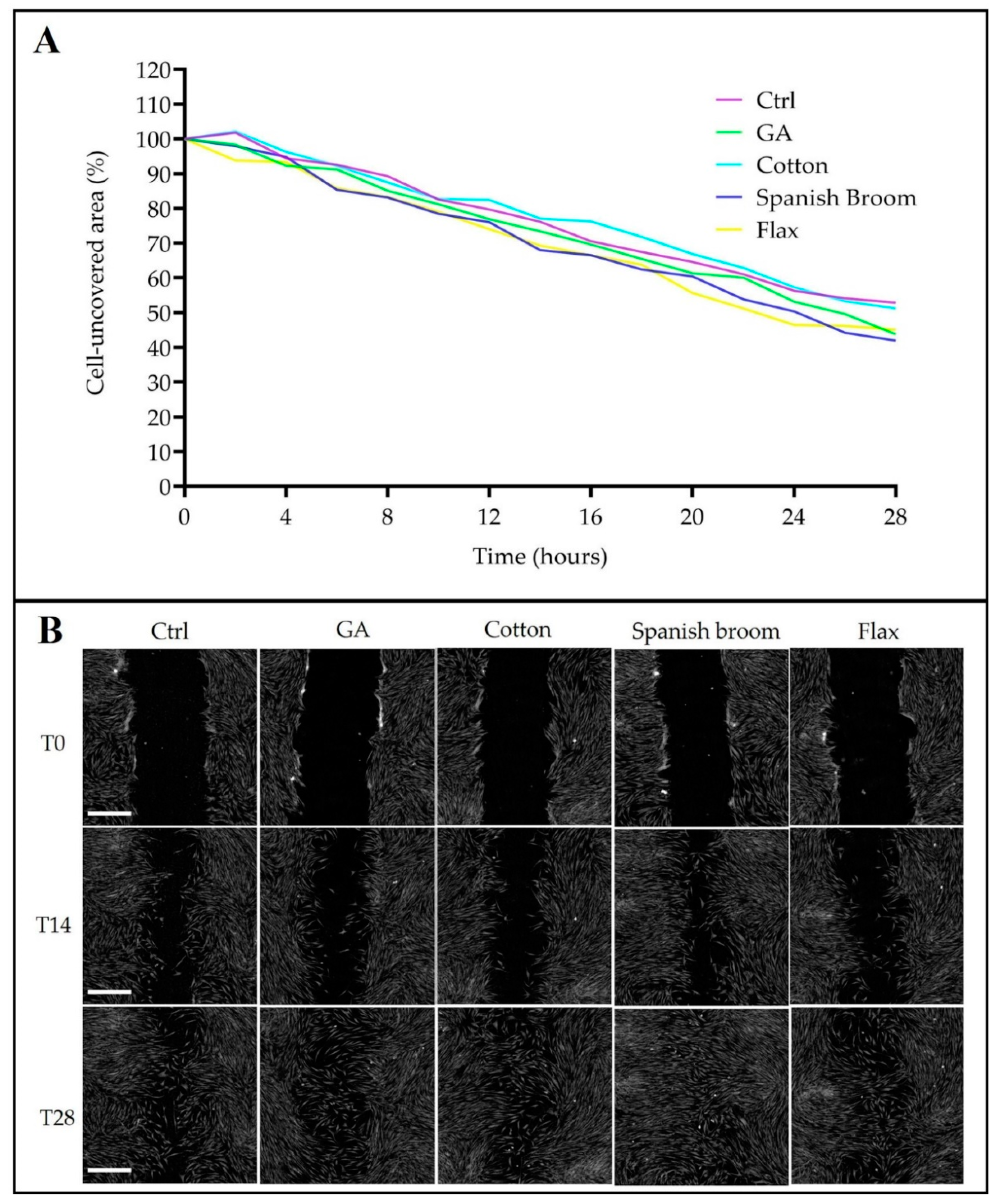 Pharmaceutics 13 01192 g007