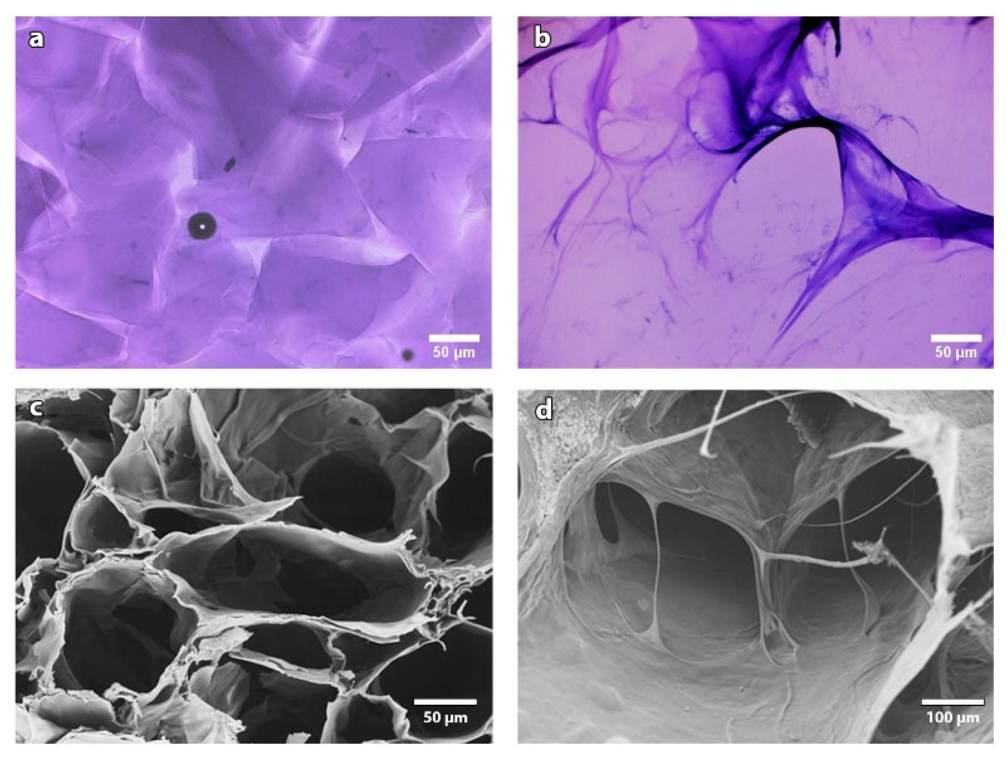 Pharmaceutics 13 01194 g003