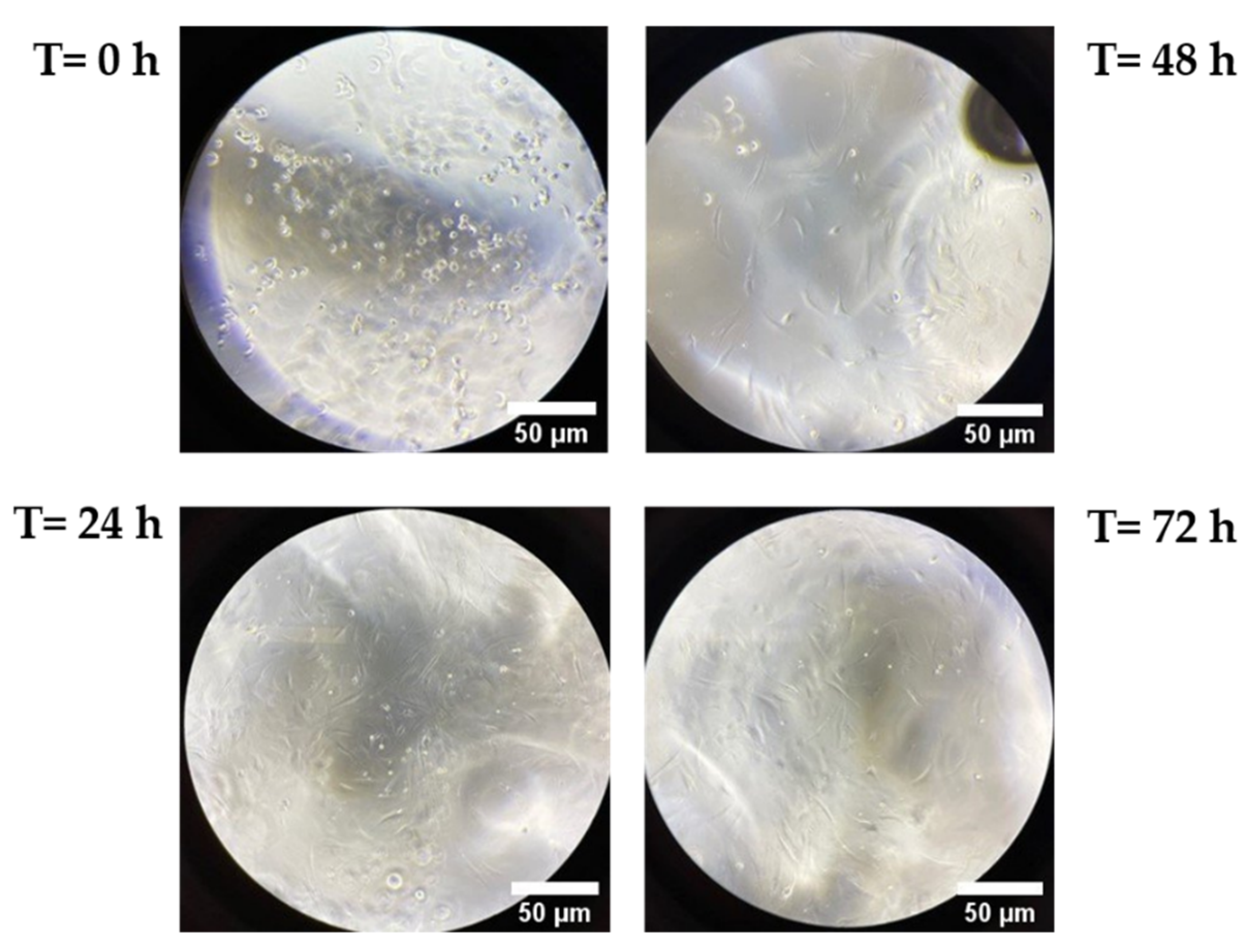 Pharmaceutics 13 01194 g006