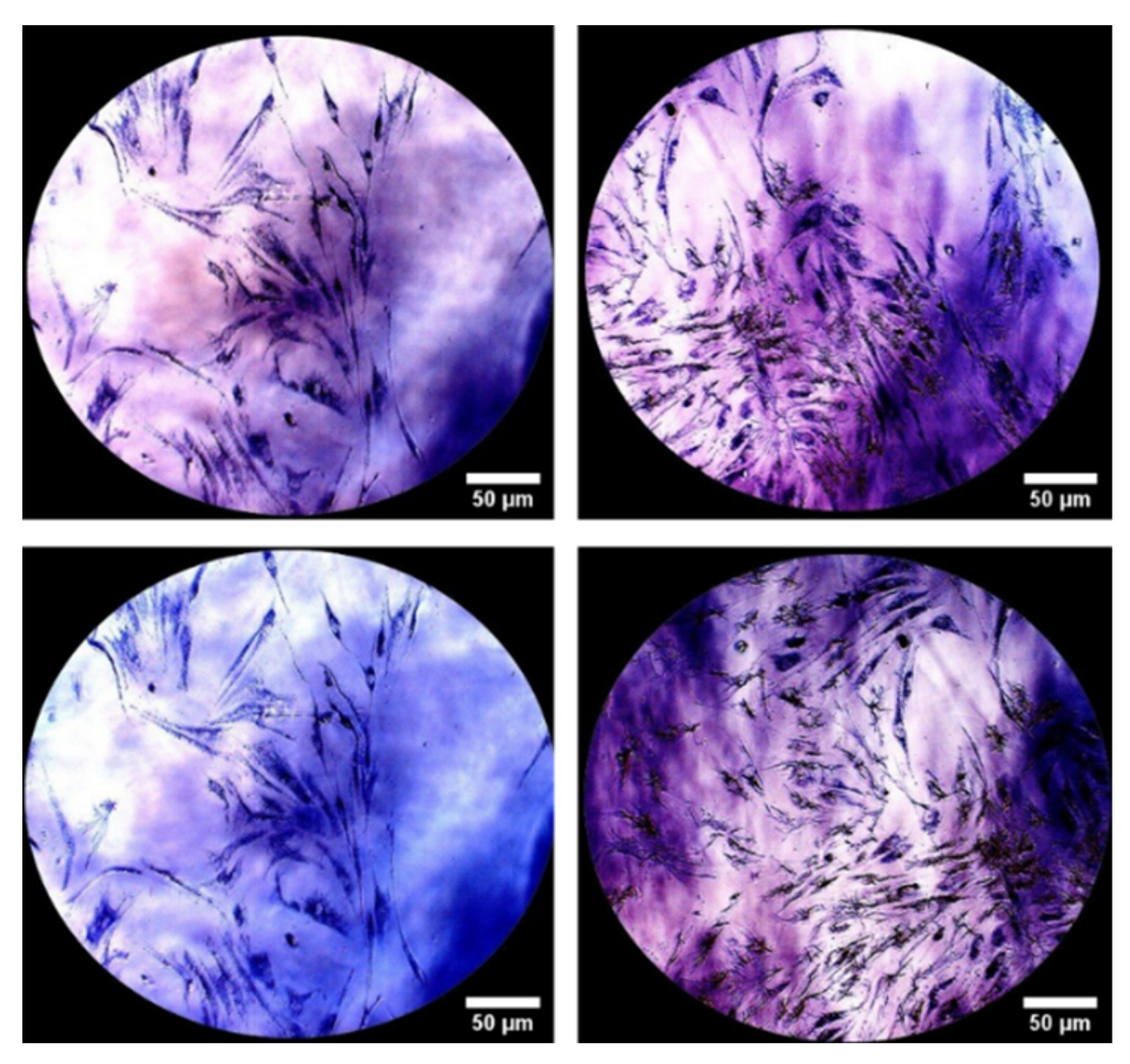 Pharmaceutics 13 01194 g008