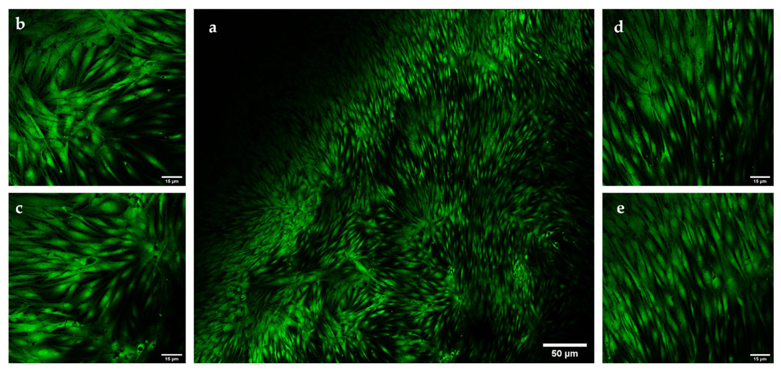 Pharmaceutics 13 01194 g009