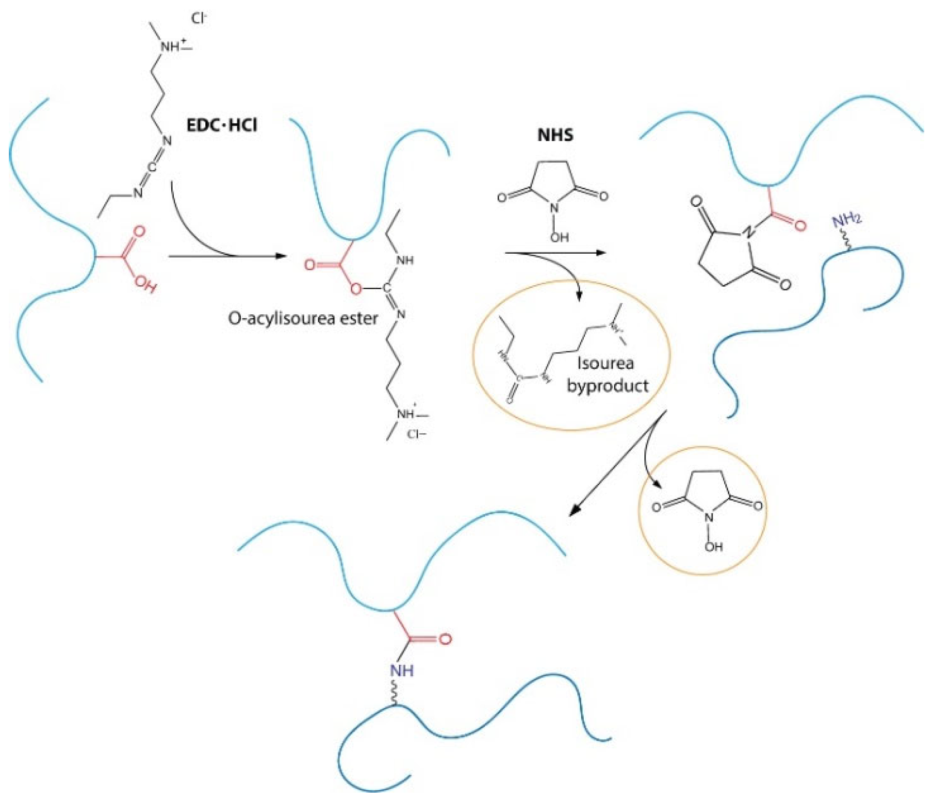 Pharmaceutics 13 01194 g010