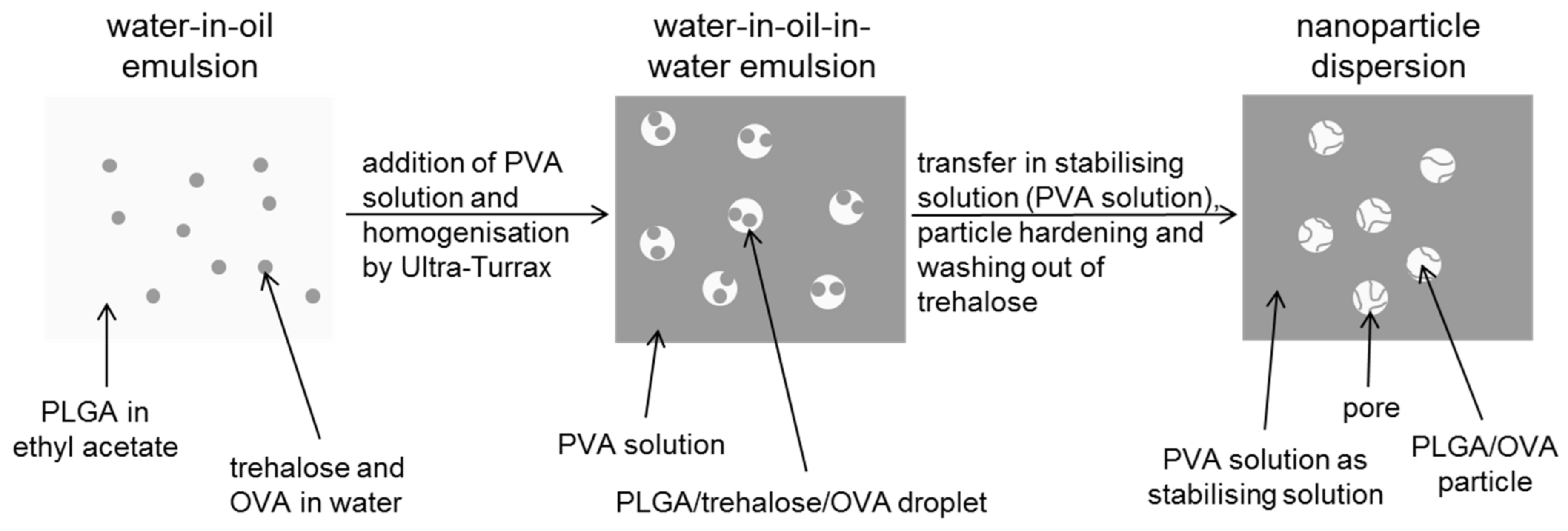 Pharmaceutics 13 01196 g008