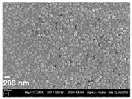 Pharmaceutics 13 01196 i001