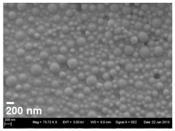 Pharmaceutics 13 01196 i002