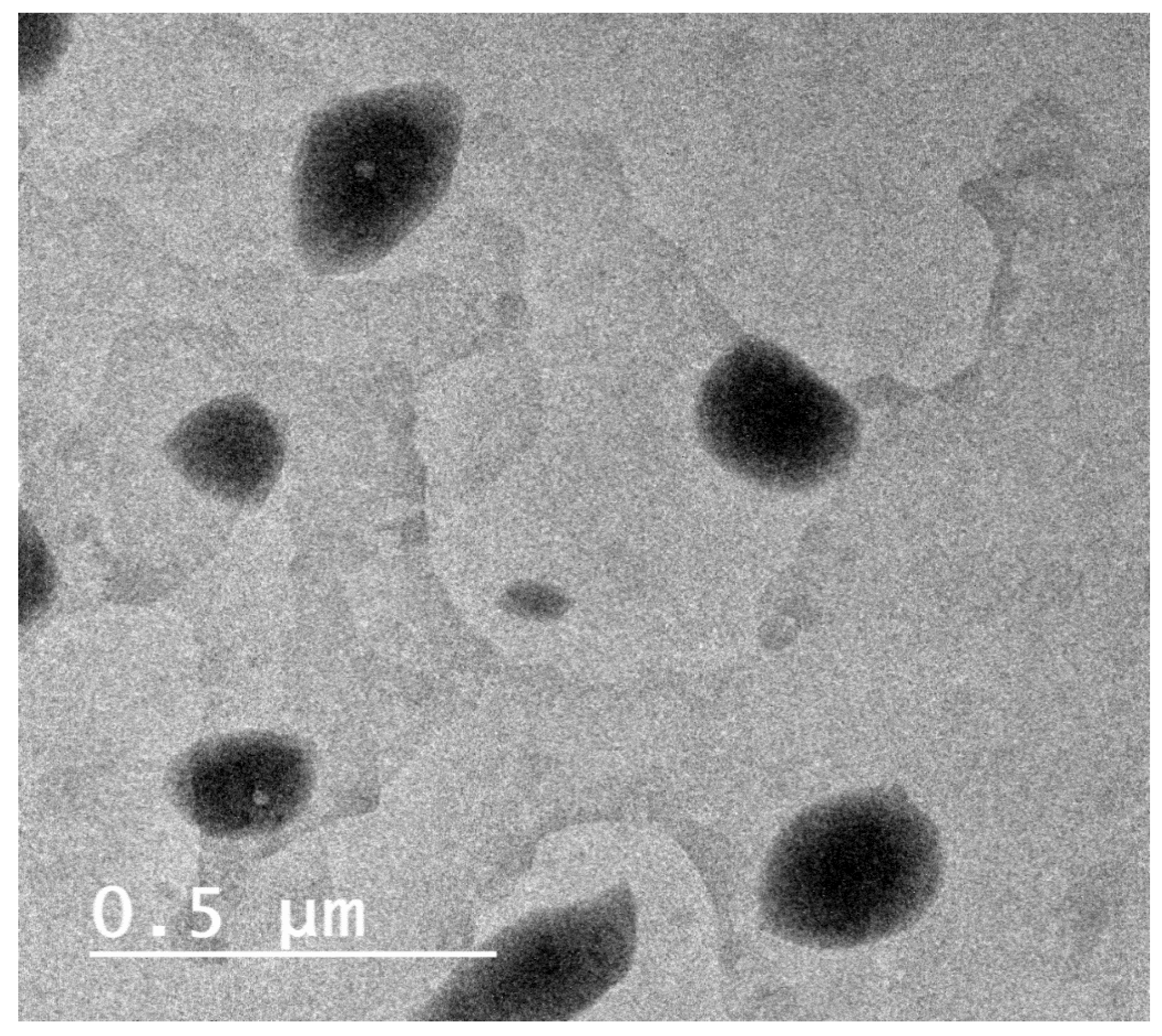 Pharmaceutics 13 01197 g004