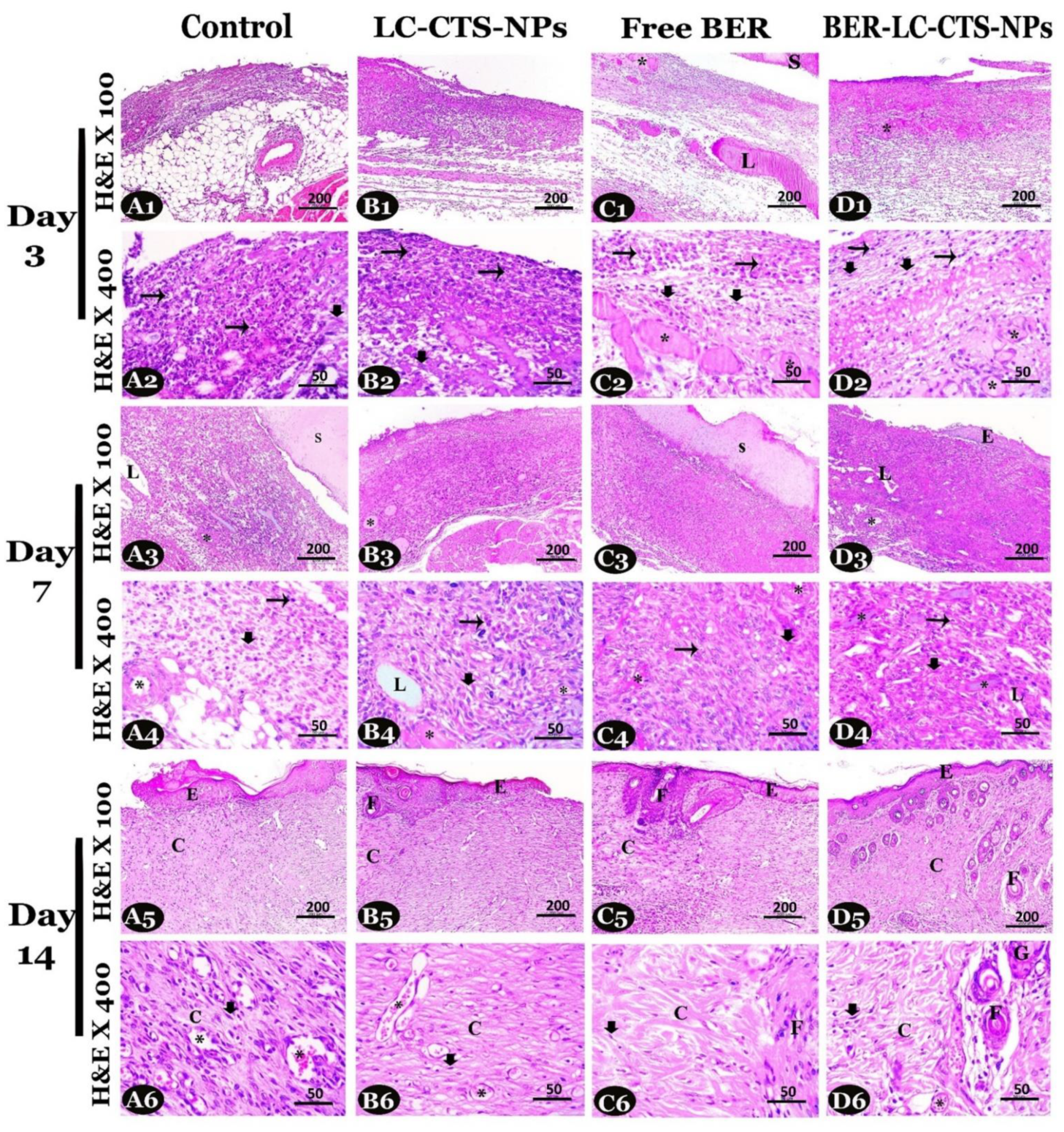Pharmaceutics 13 01197 g008