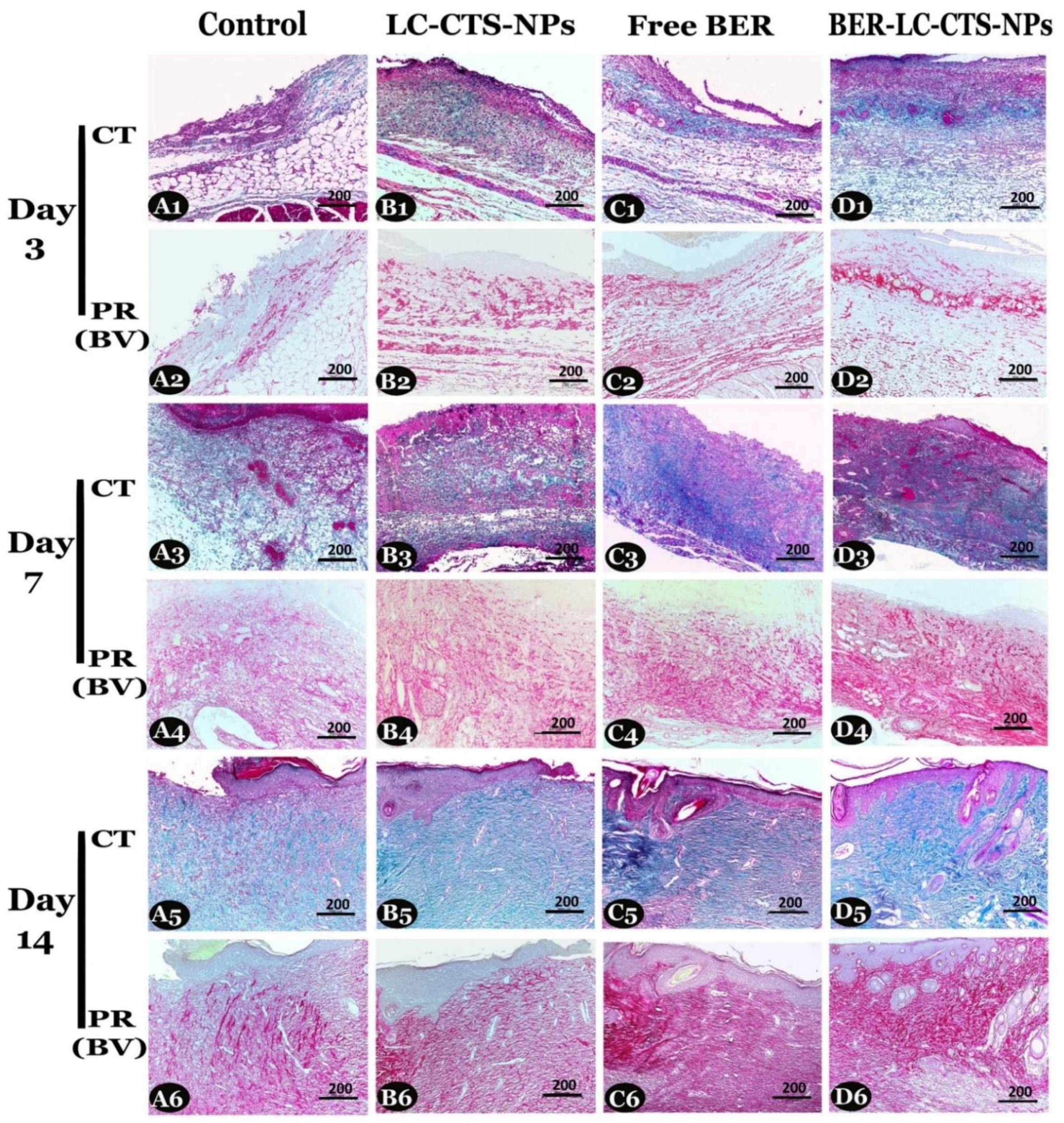 Pharmaceutics 13 01197 g009