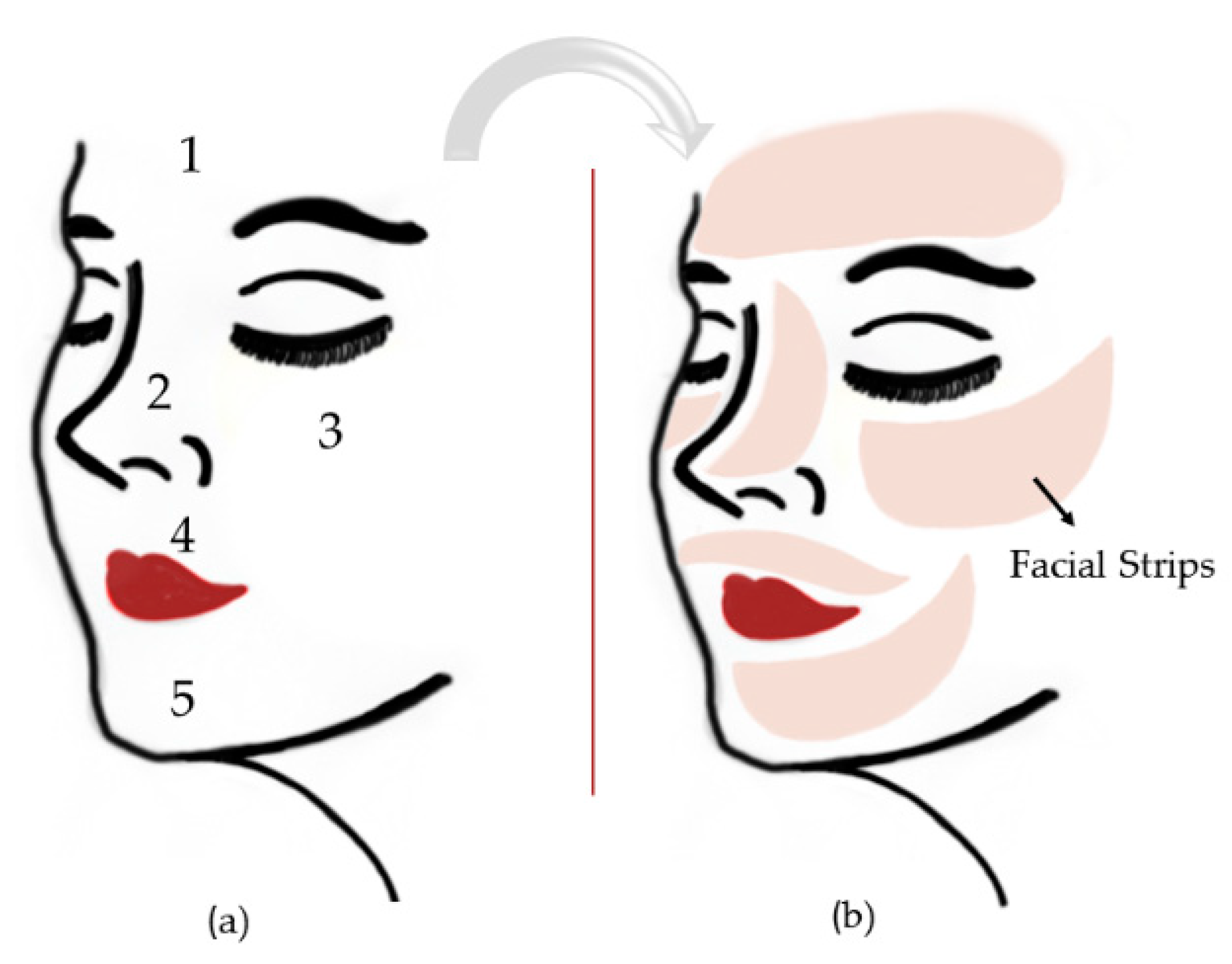 Pharmaceutics 13 01199 g004