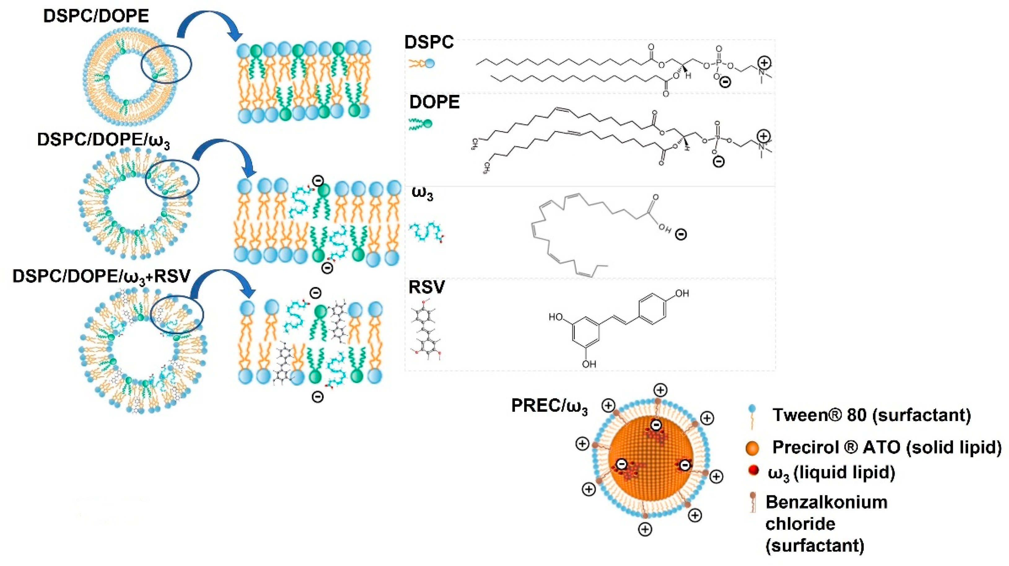 Pharmaceutics 13 01202 g003
