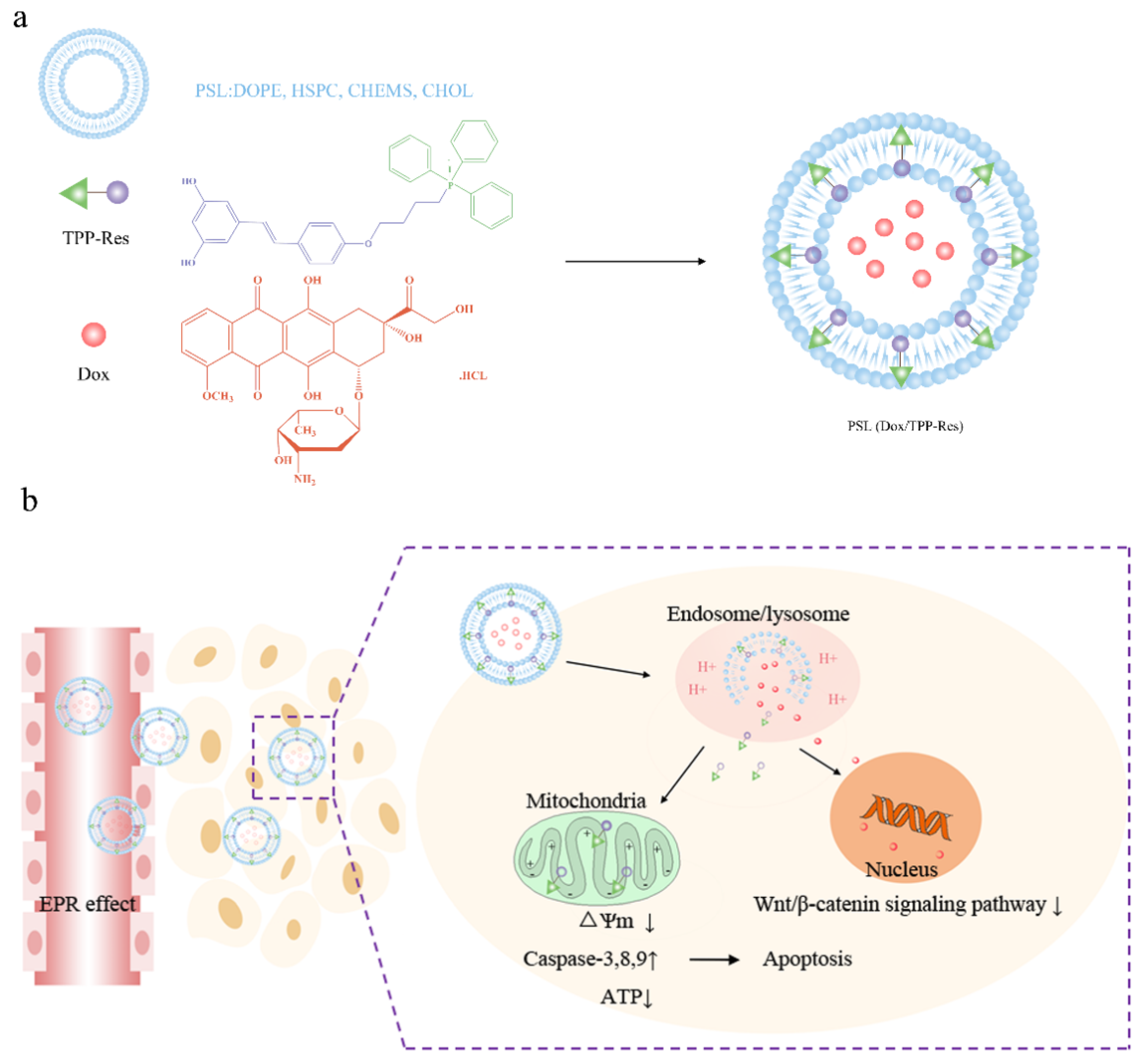 Pharmaceutics 13 01205 g001