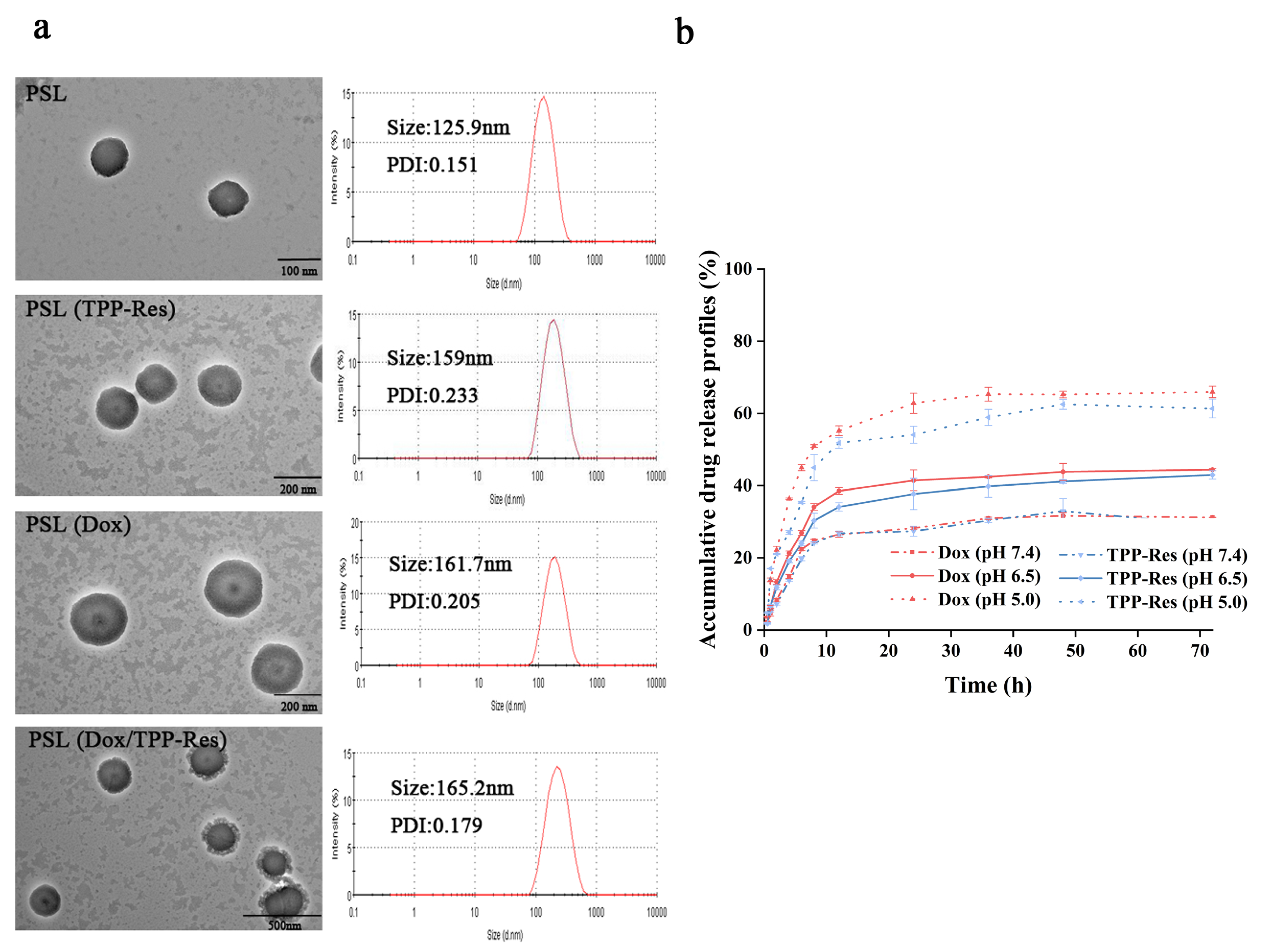 Pharmaceutics 13 01205 g002