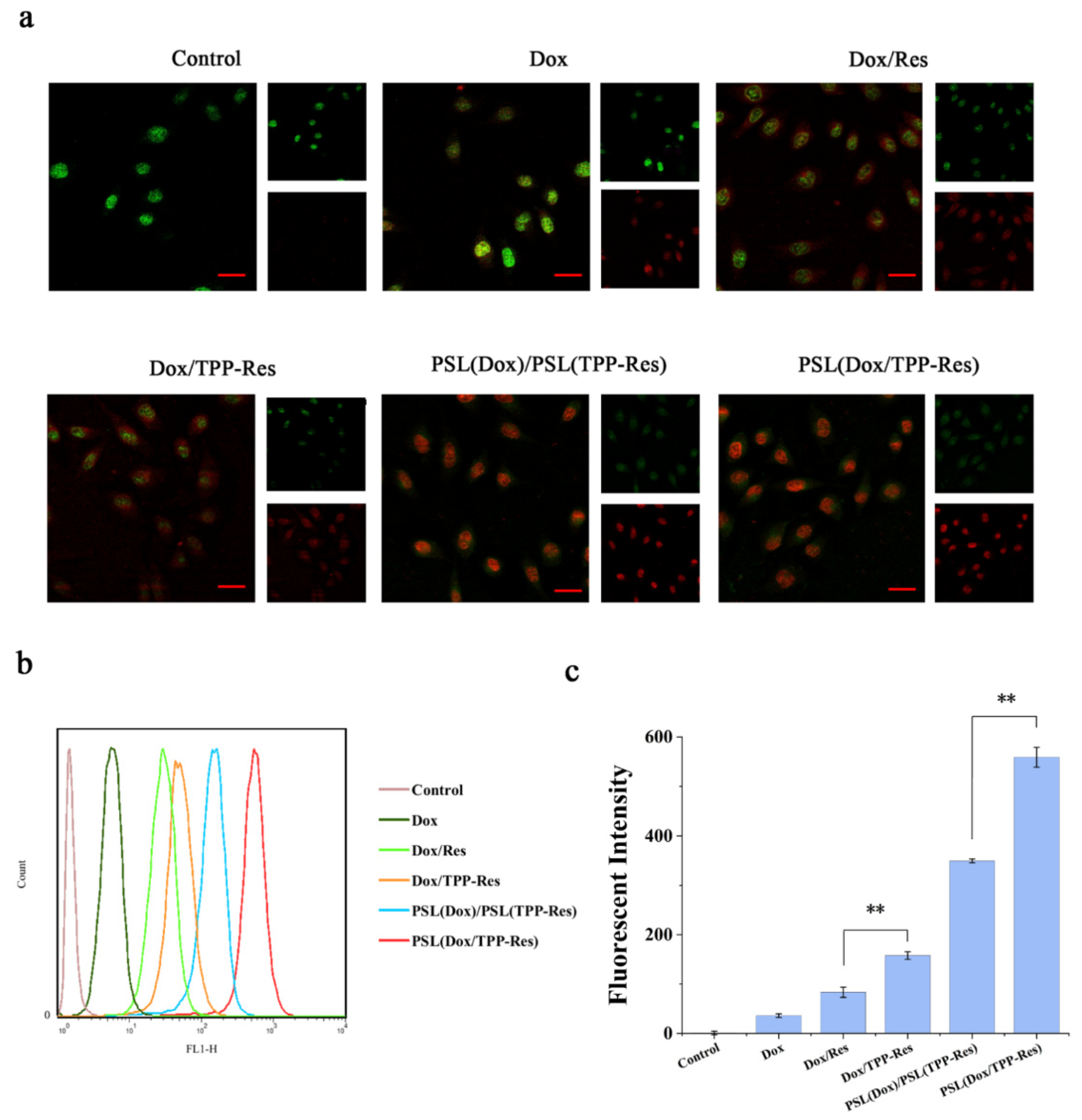 Pharmaceutics 13 01205 g005