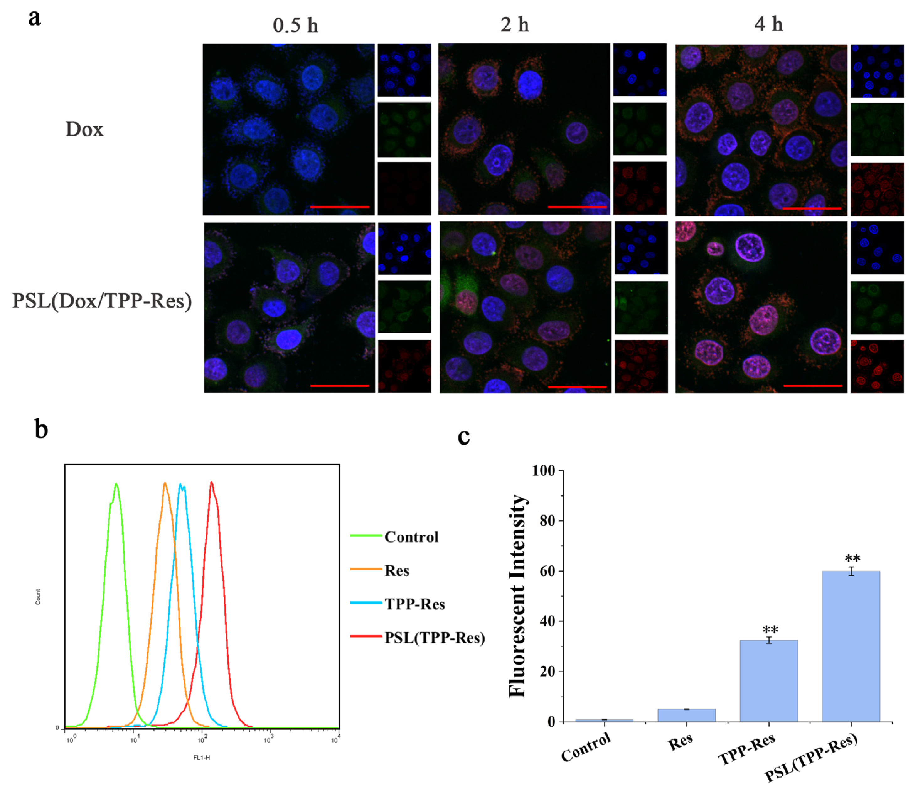 Pharmaceutics 13 01205 g006