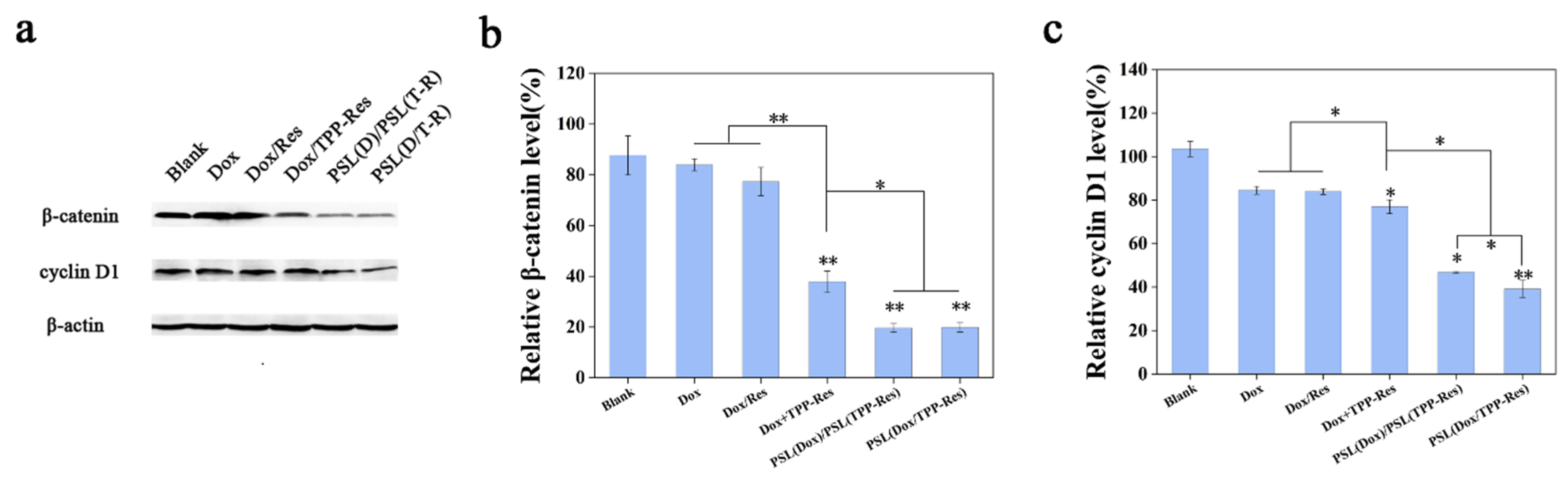 Pharmaceutics 13 01205 g008