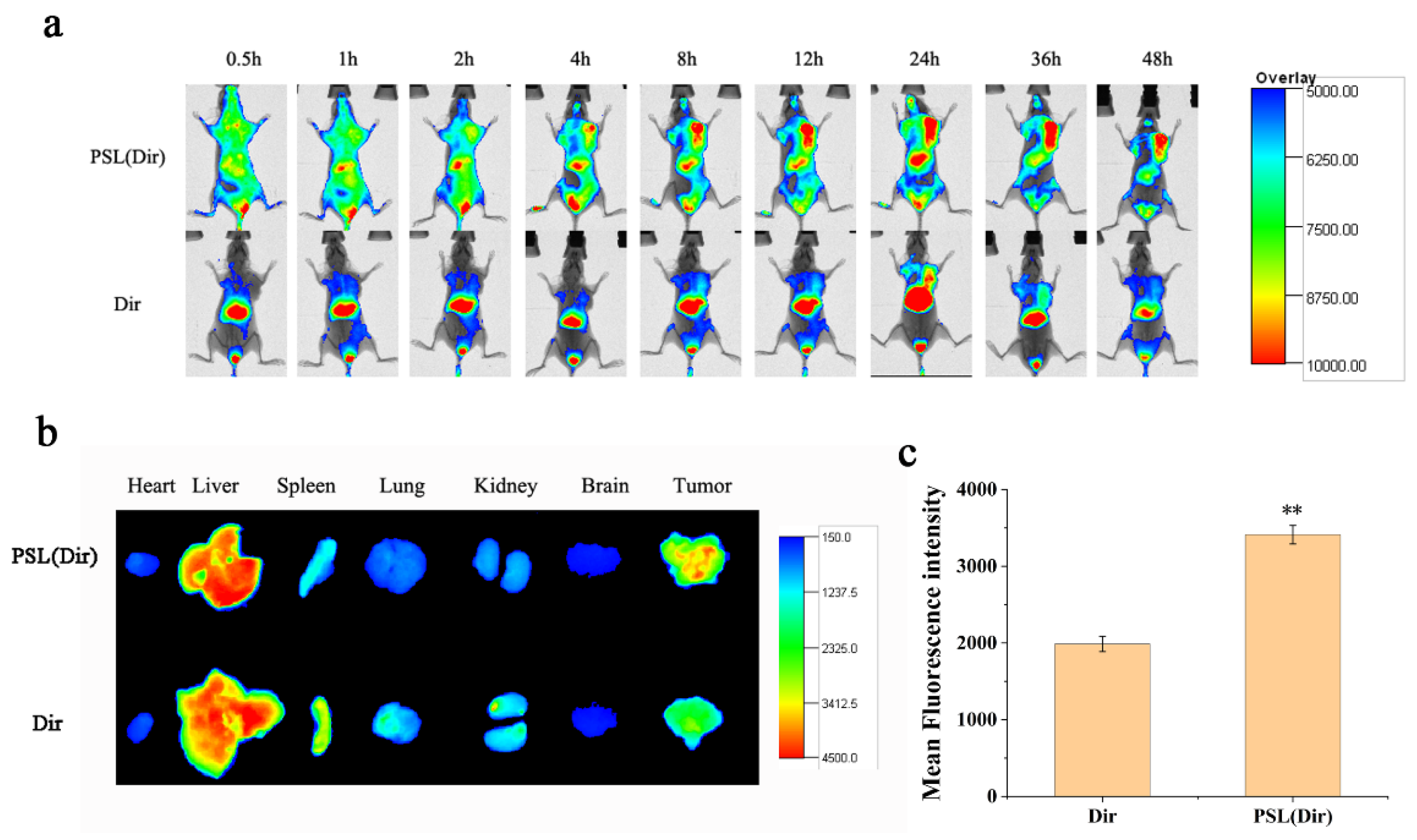 Pharmaceutics 13 01205 g009