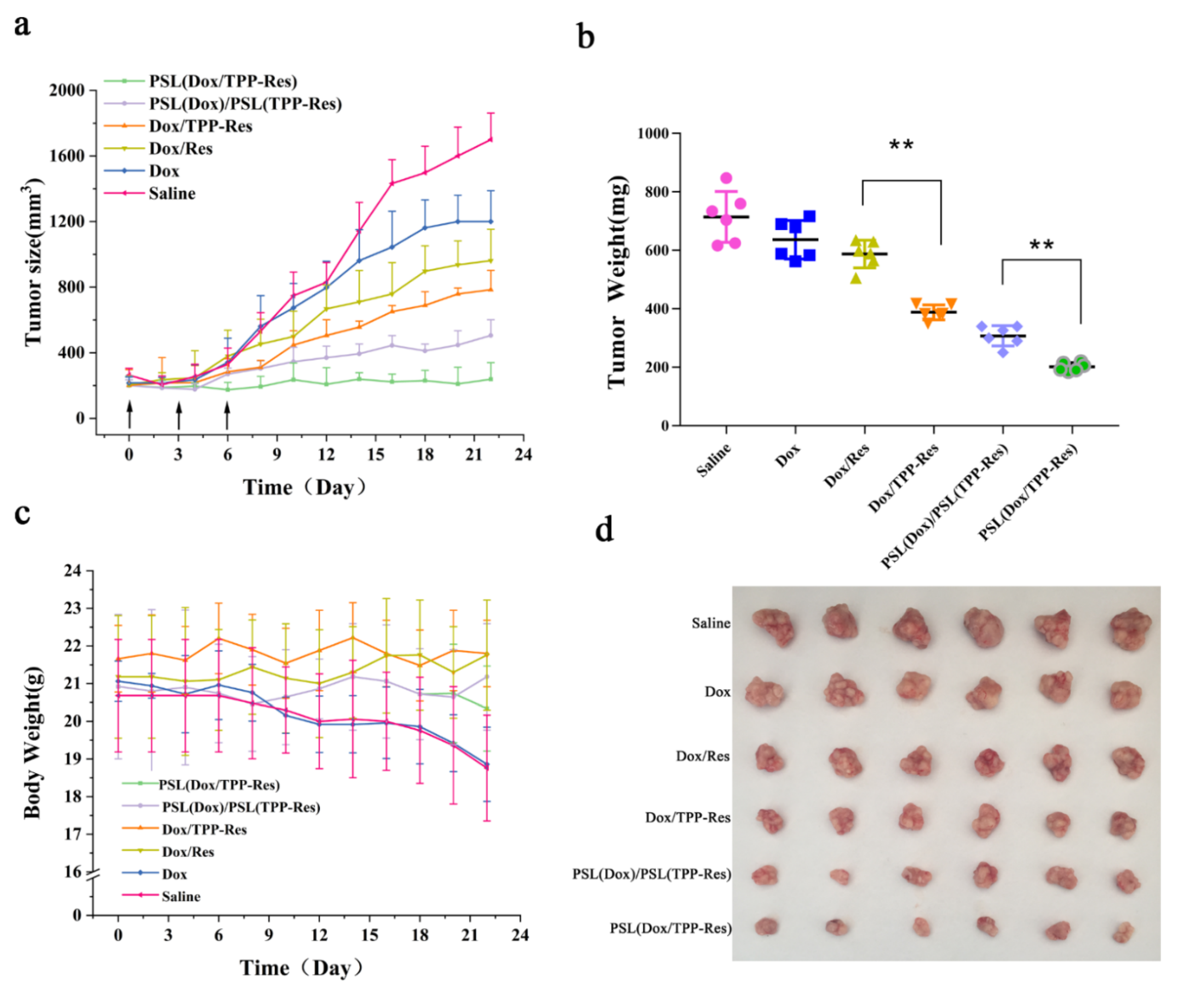 Pharmaceutics 13 01205 g010