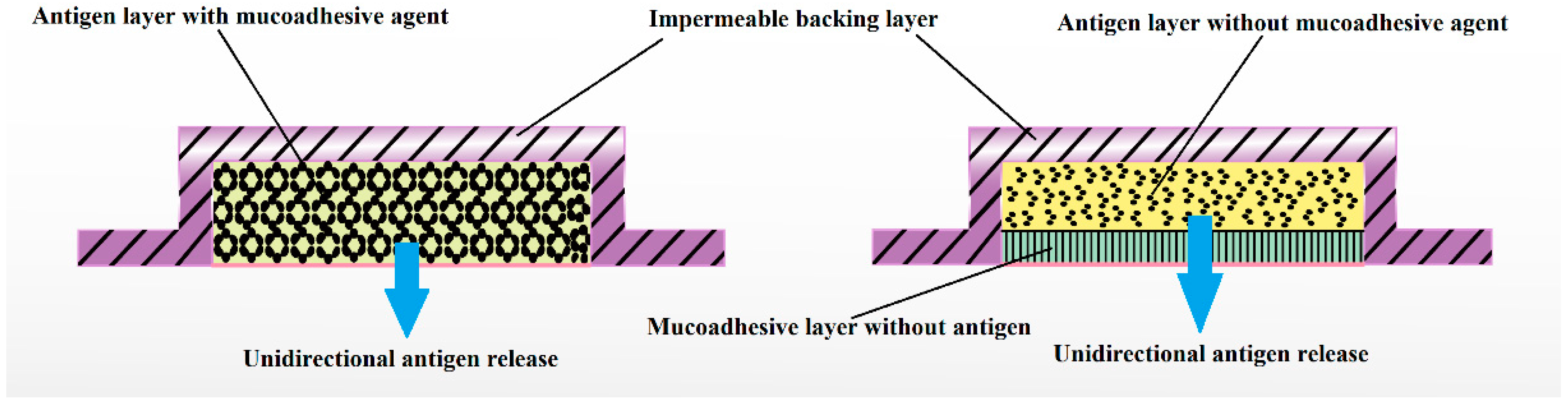Pharmaceutics 13 01206 g003 Pharmaceutics 13 01206 g003