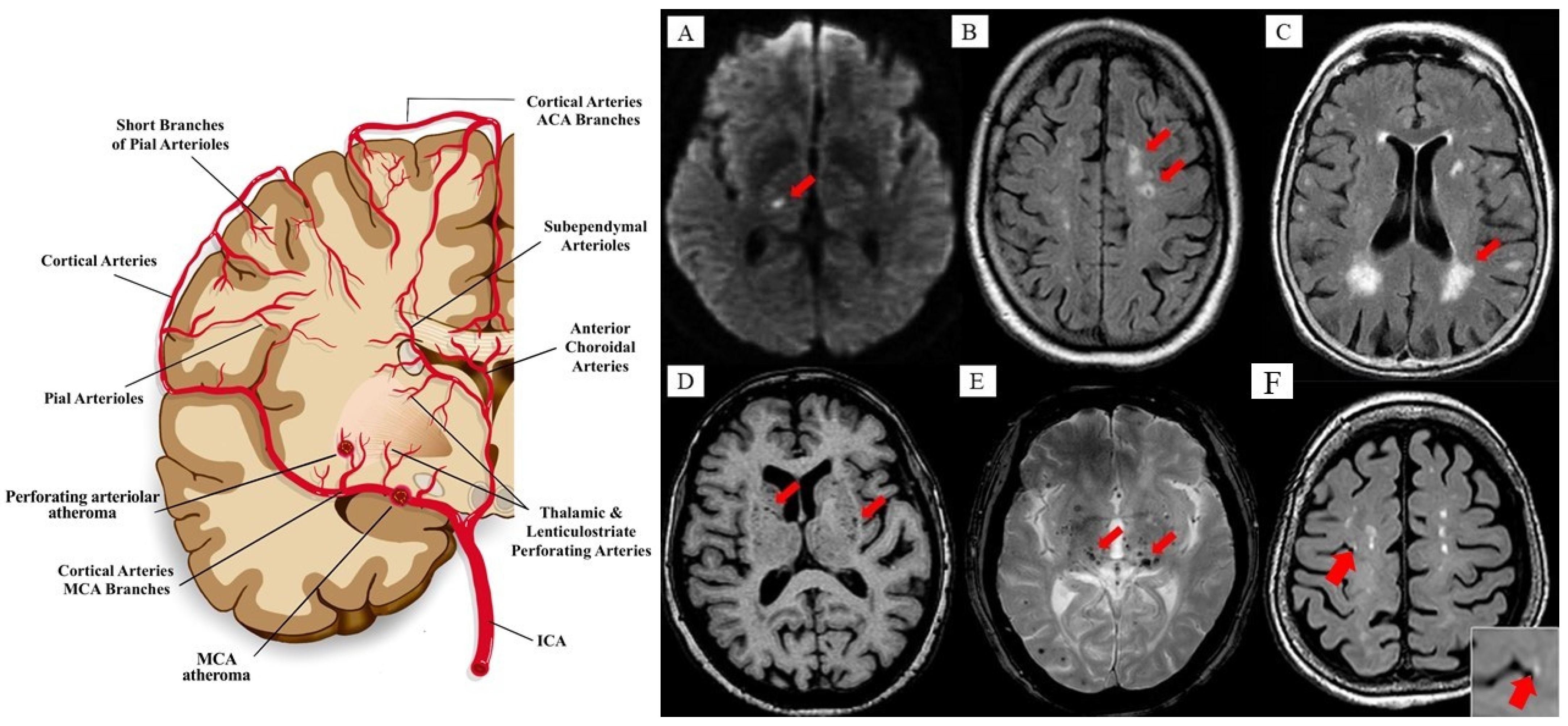 Pharmaceutics 13 01207 g002