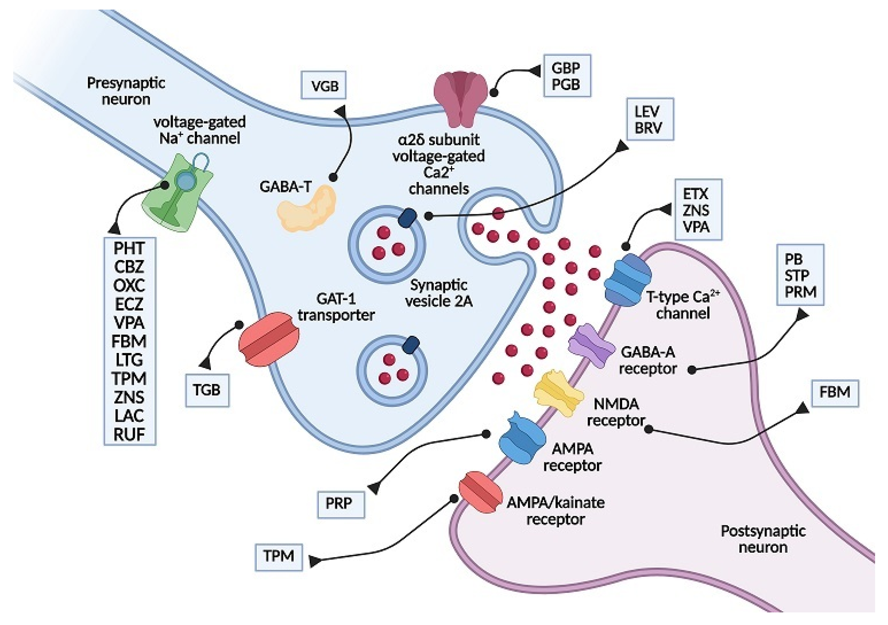 Pharmaceutics 13 01208 g001