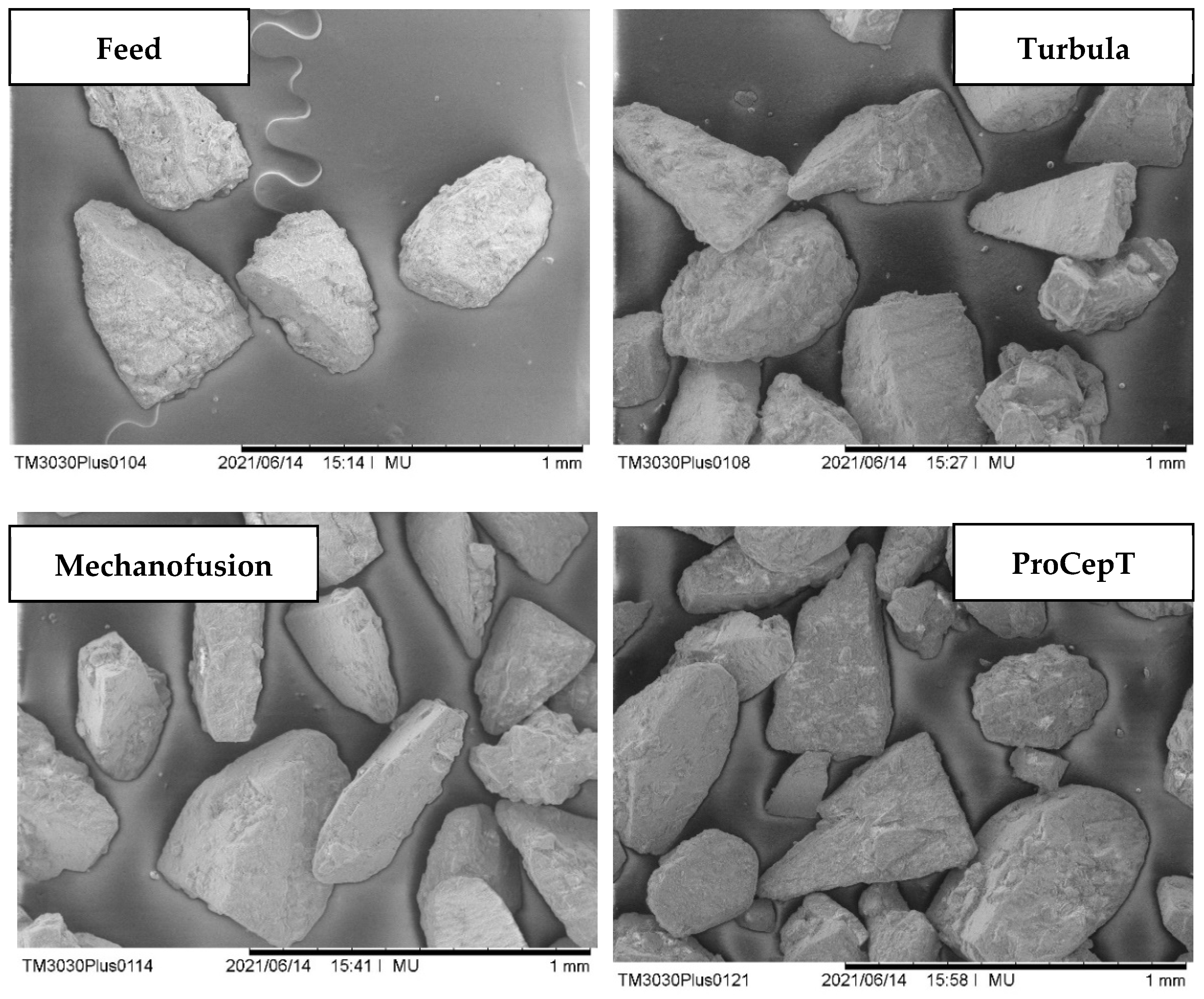 Pharmaceutics 13 01211 g004