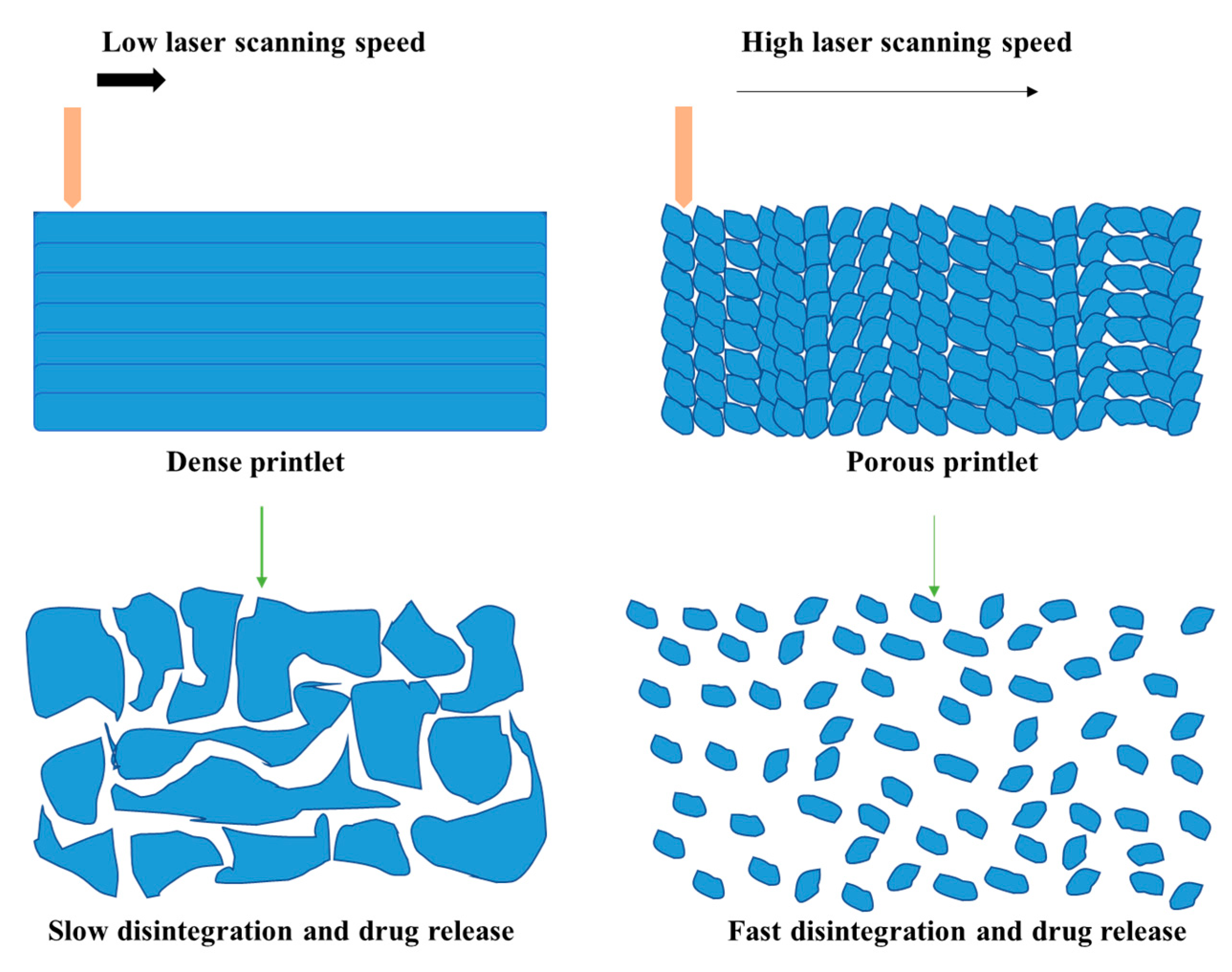 Pharmaceutics 13 01212 g005