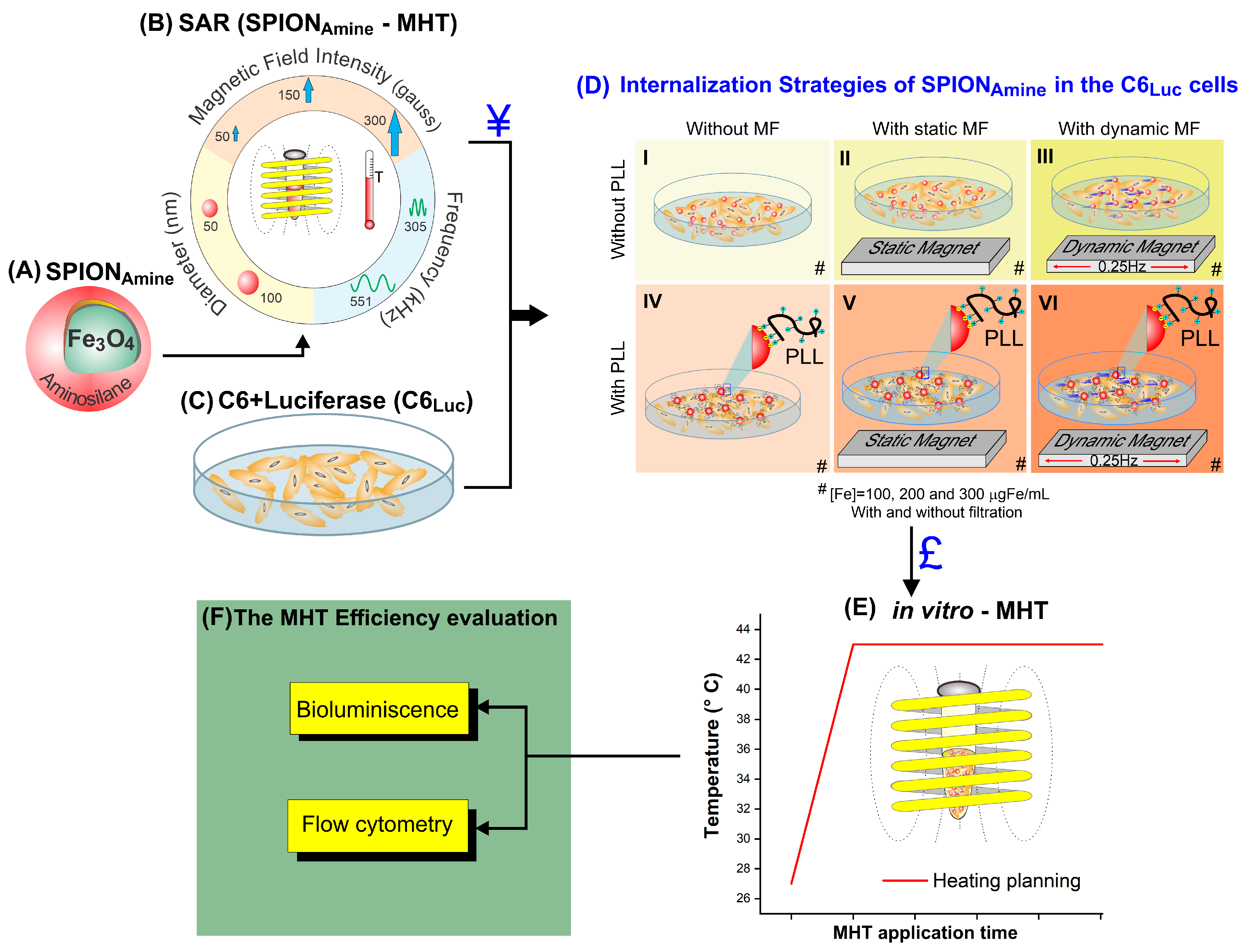 Pharmaceutics 13 01219 g001