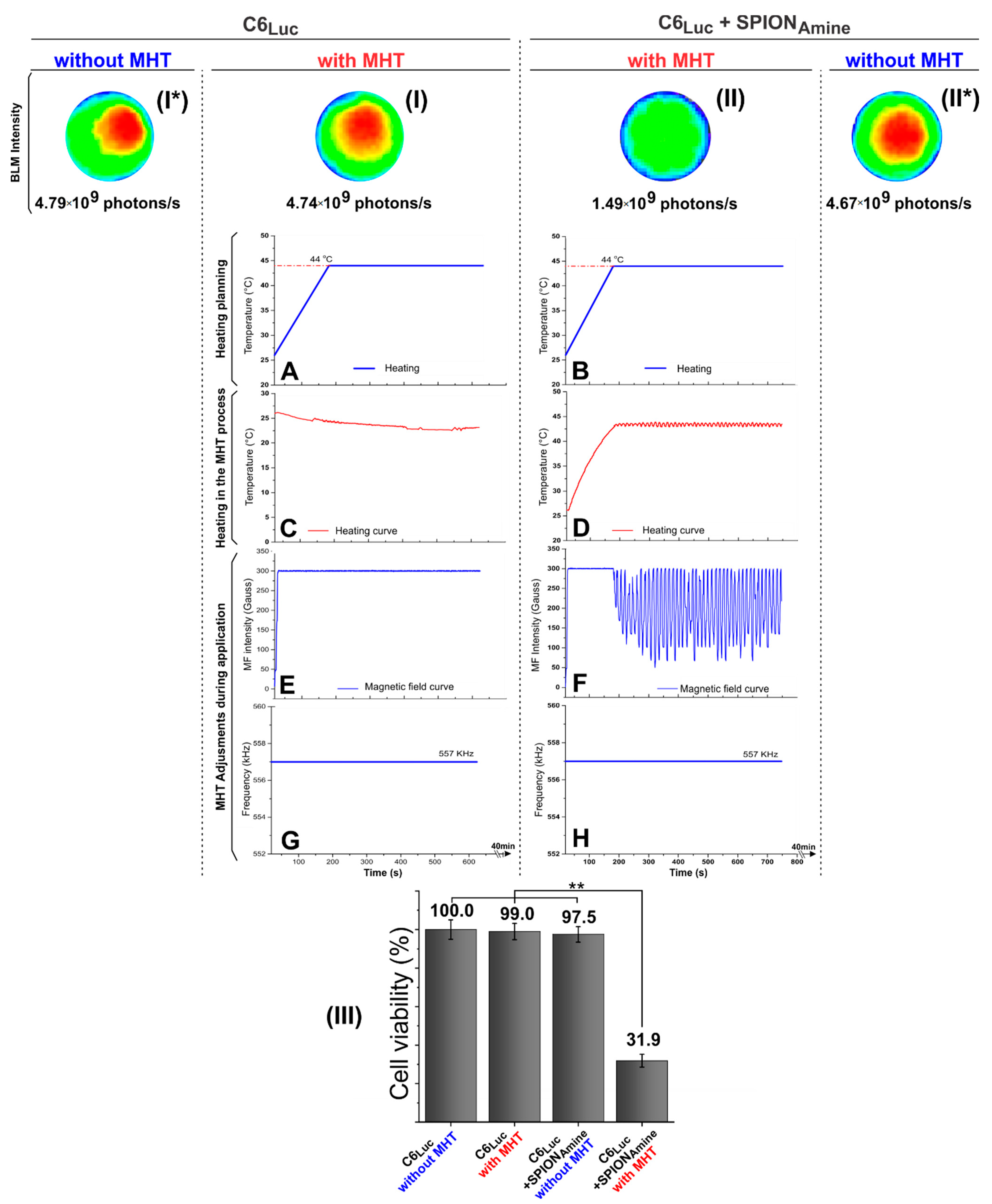 Pharmaceutics 13 01219 g007