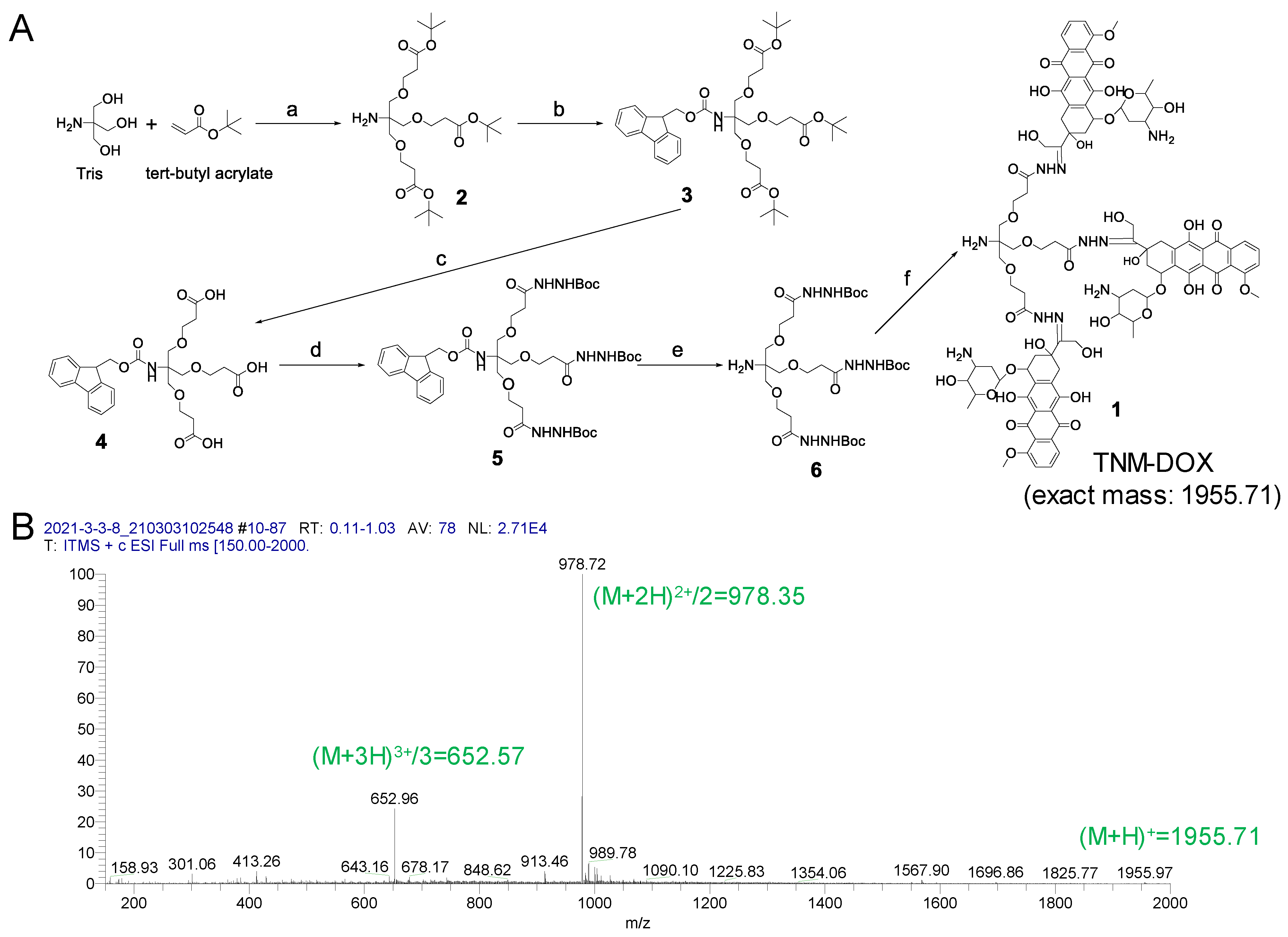 Pharmaceutics 13 01221 g002