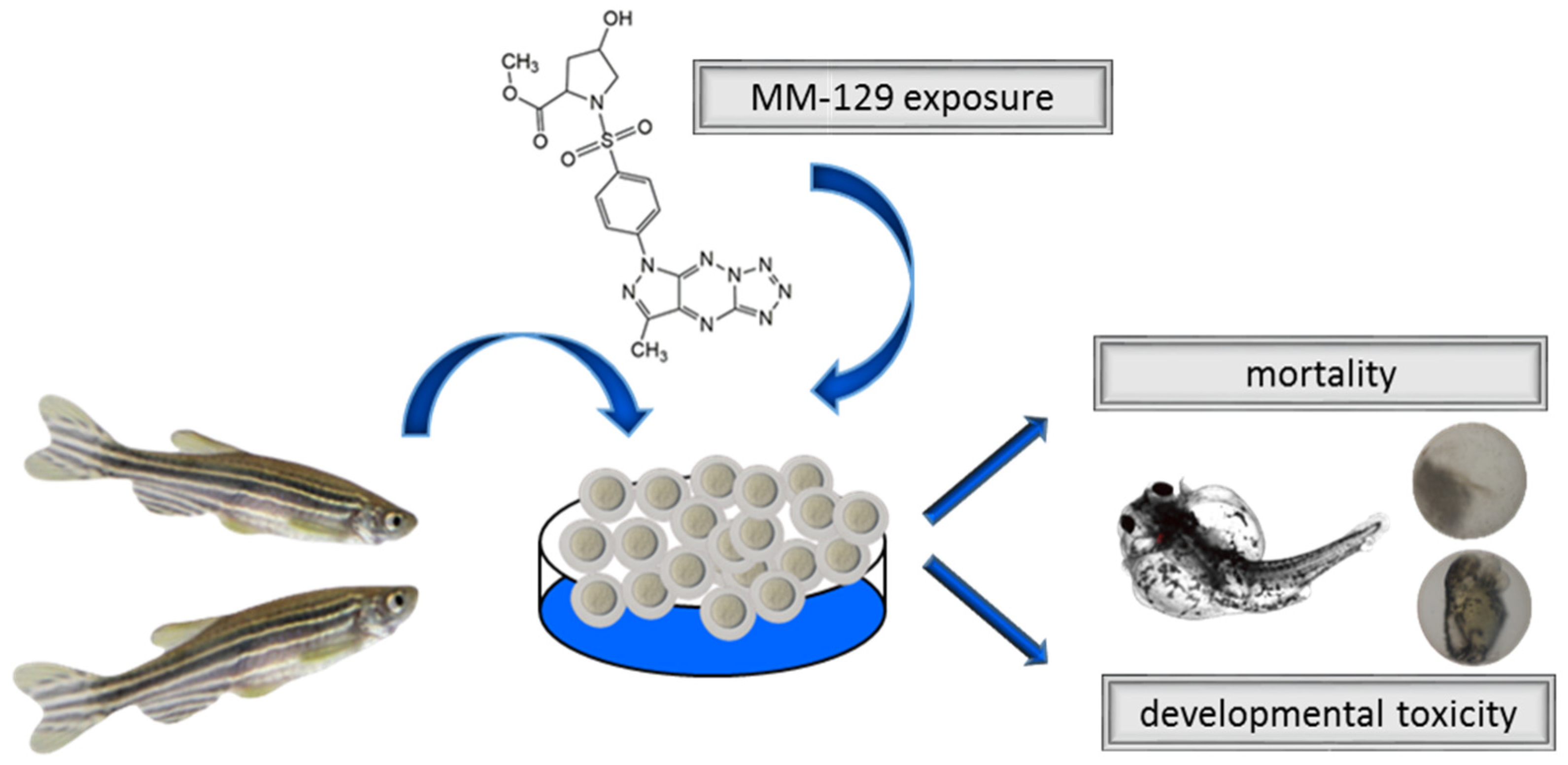 Pharmaceutics 13 01222 g002