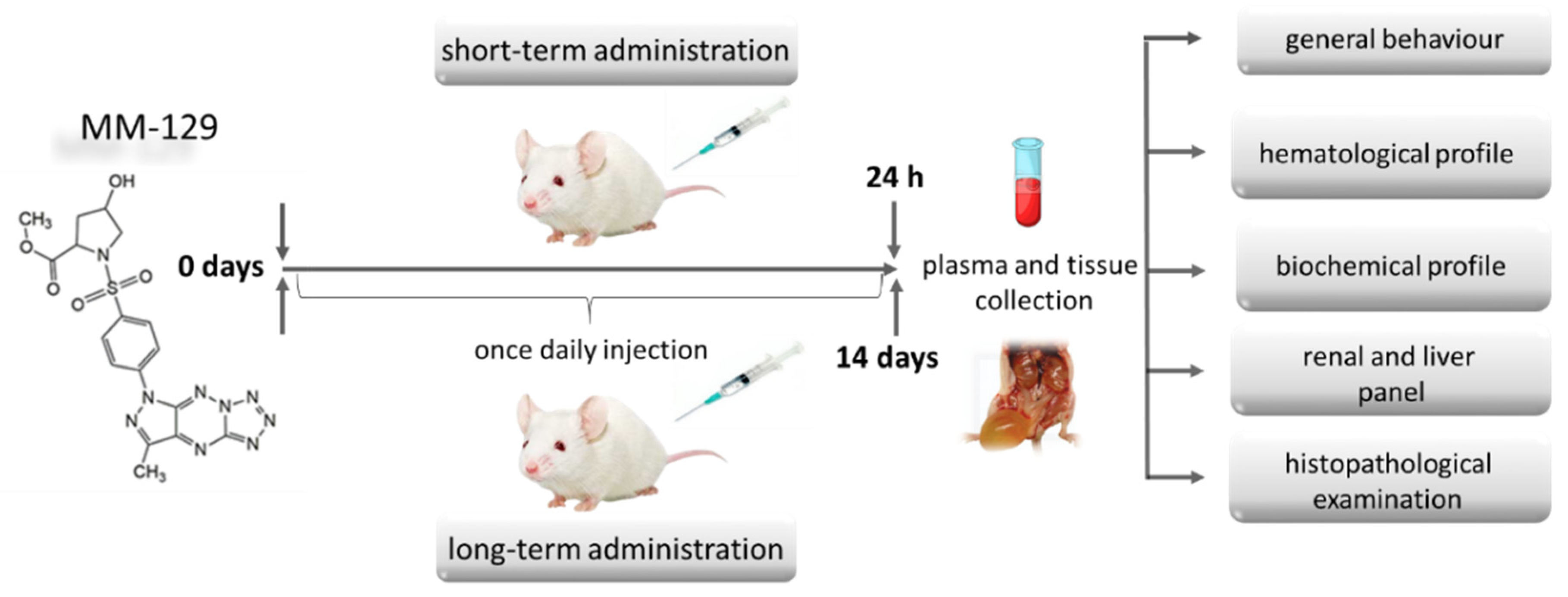 Pharmaceutics 13 01222 g003