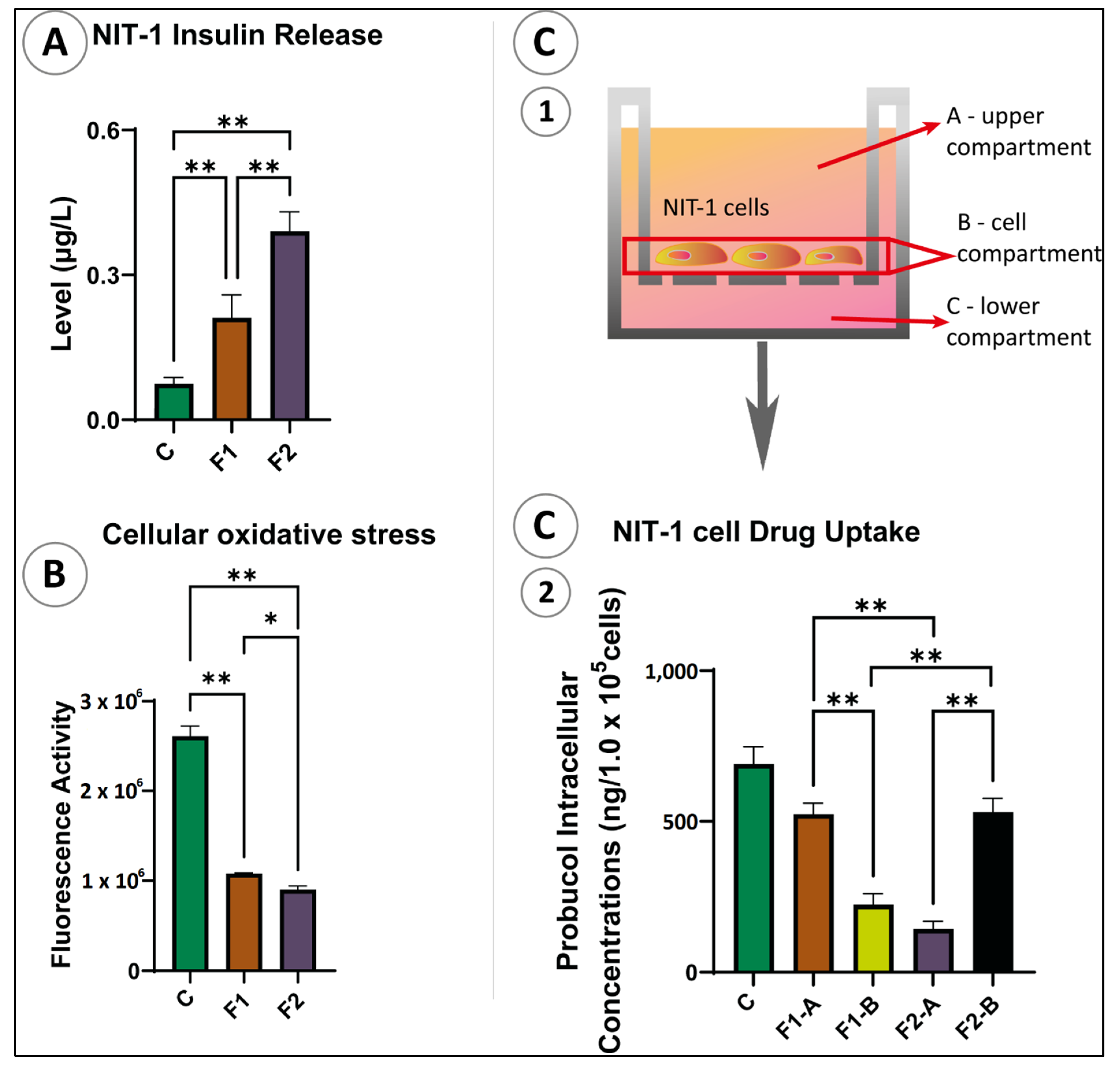 Pharmaceutics 13 01223 g005