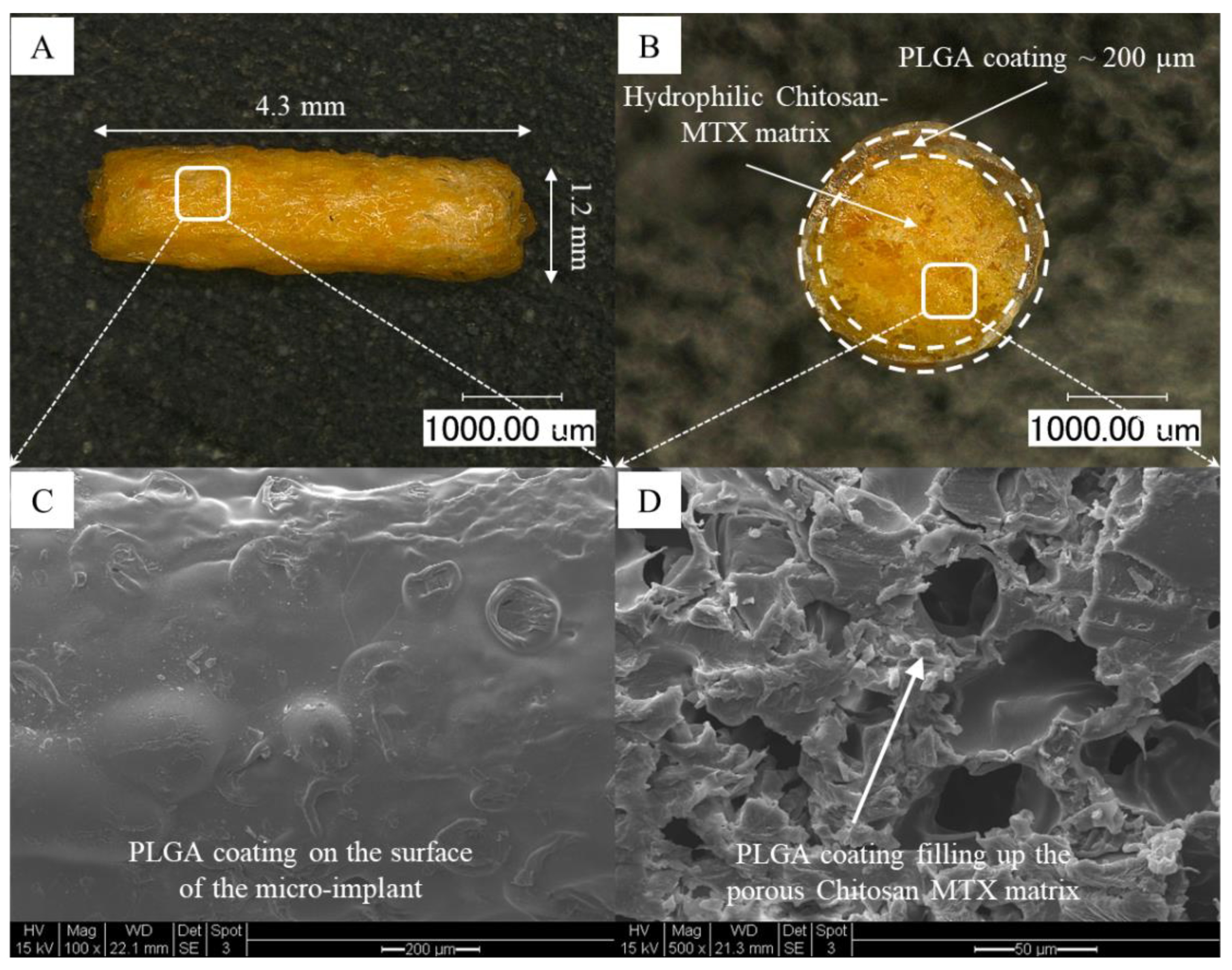 Pharmaceutics 13 01227 g001