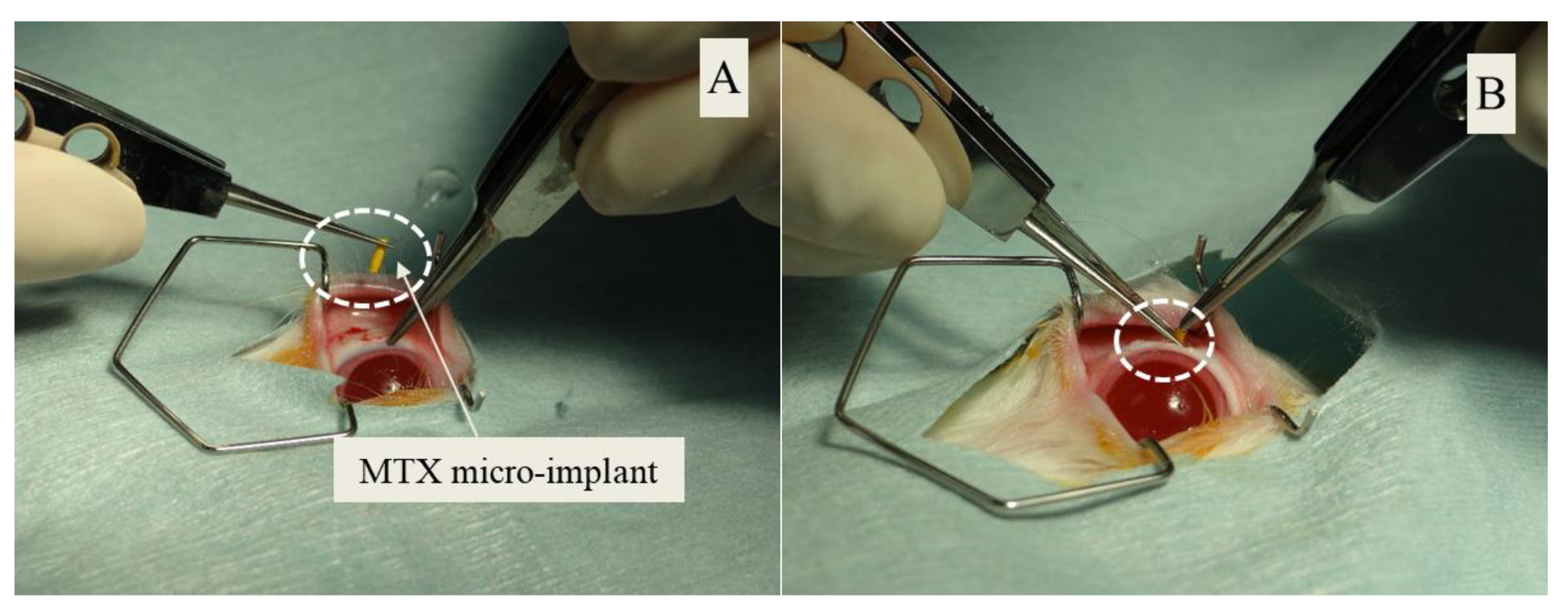 Pharmaceutics 13 01227 g002