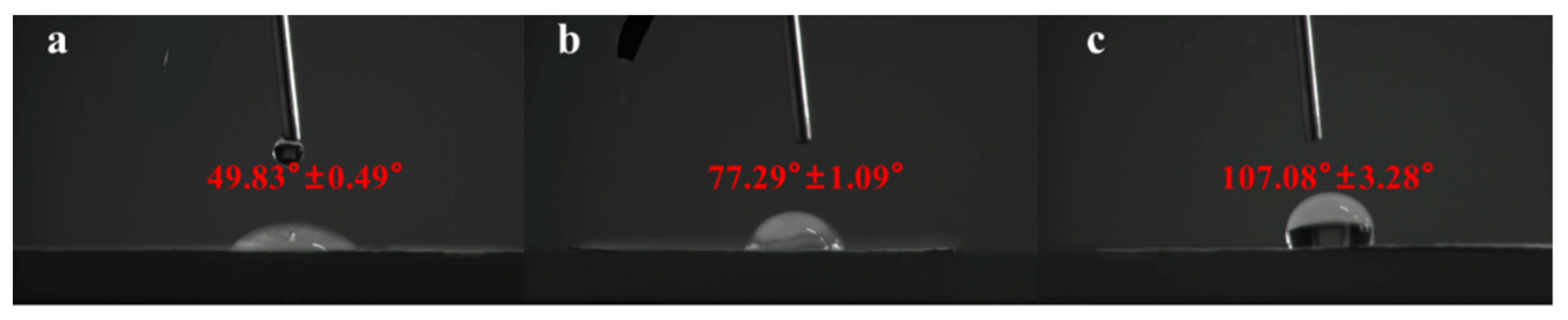 Pharmaceutics 13 01228 g004