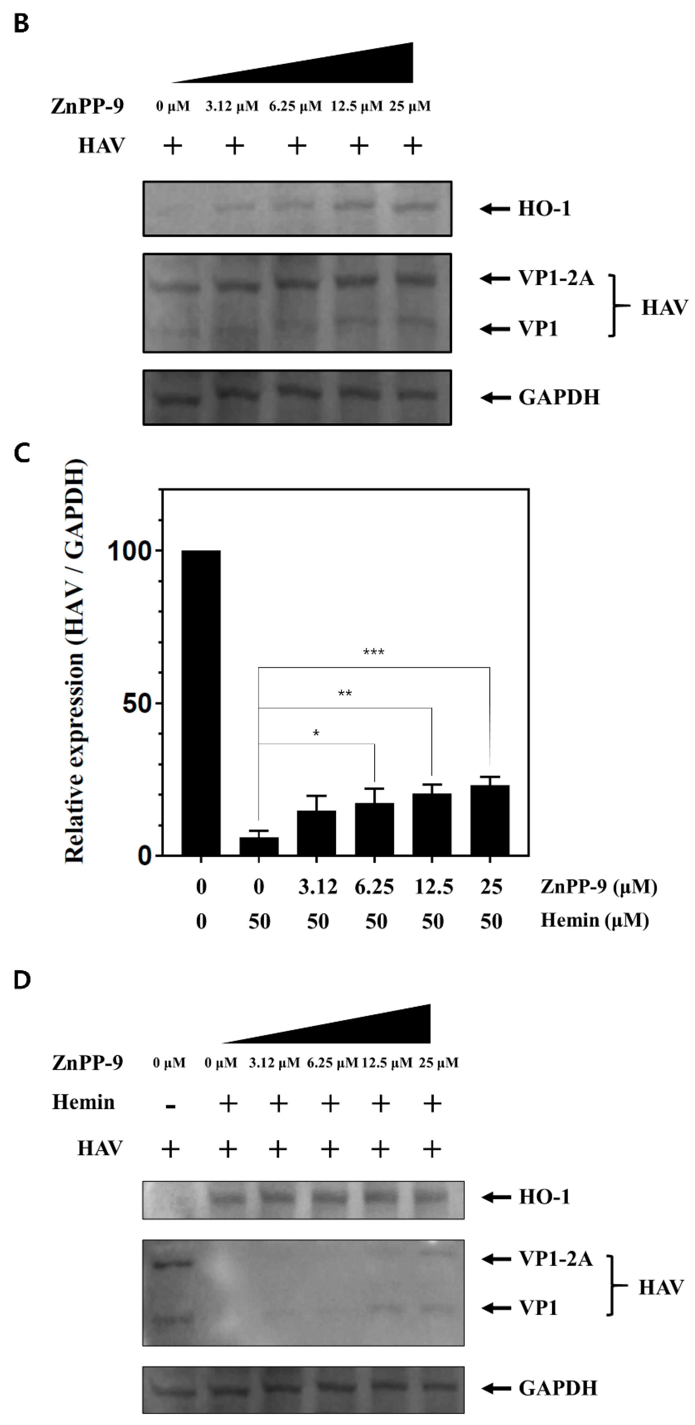 Pharmaceutics 13 01229 g003b