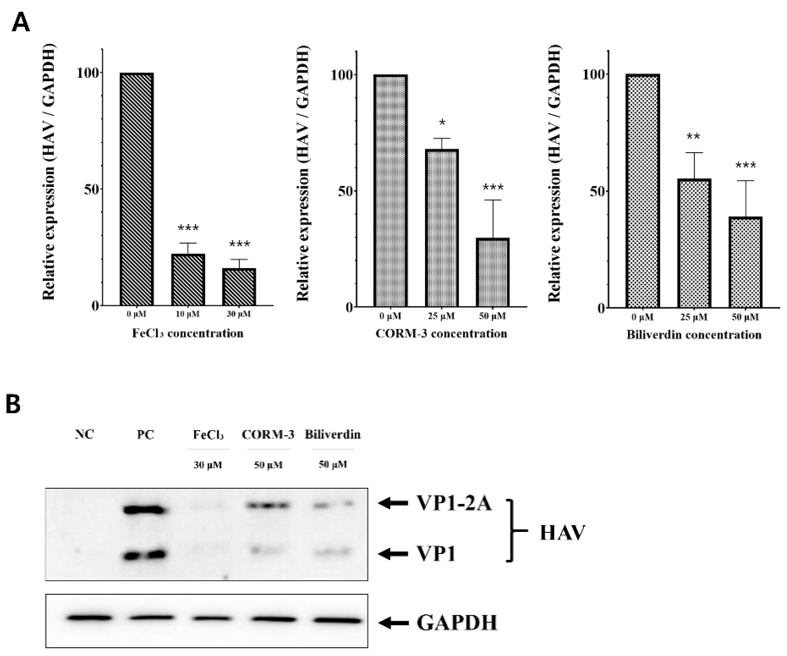 Pharmaceutics 13 01229 g004
