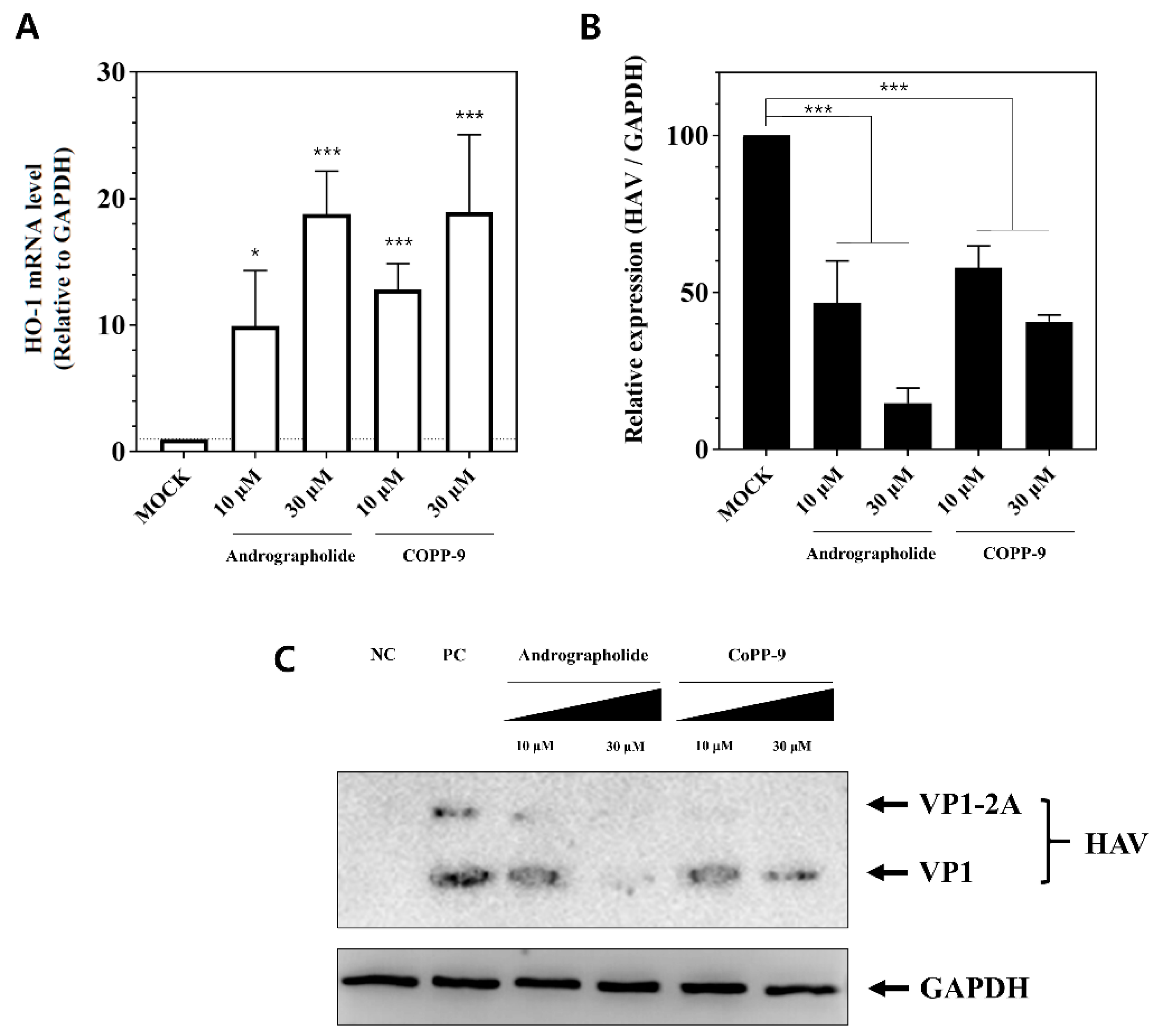 Pharmaceutics 13 01229 g005