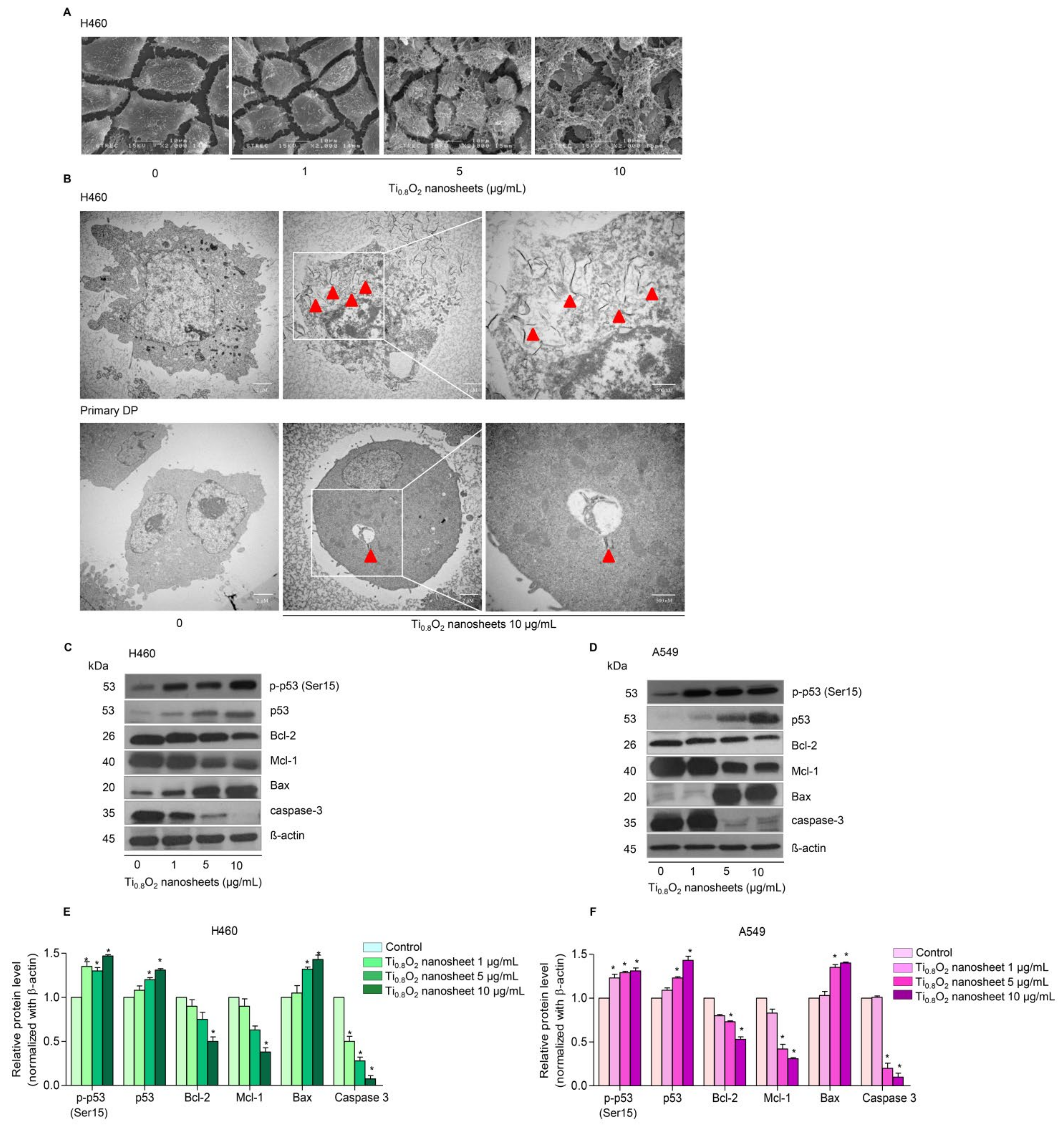 Pharmaceutics 13 01233 g003