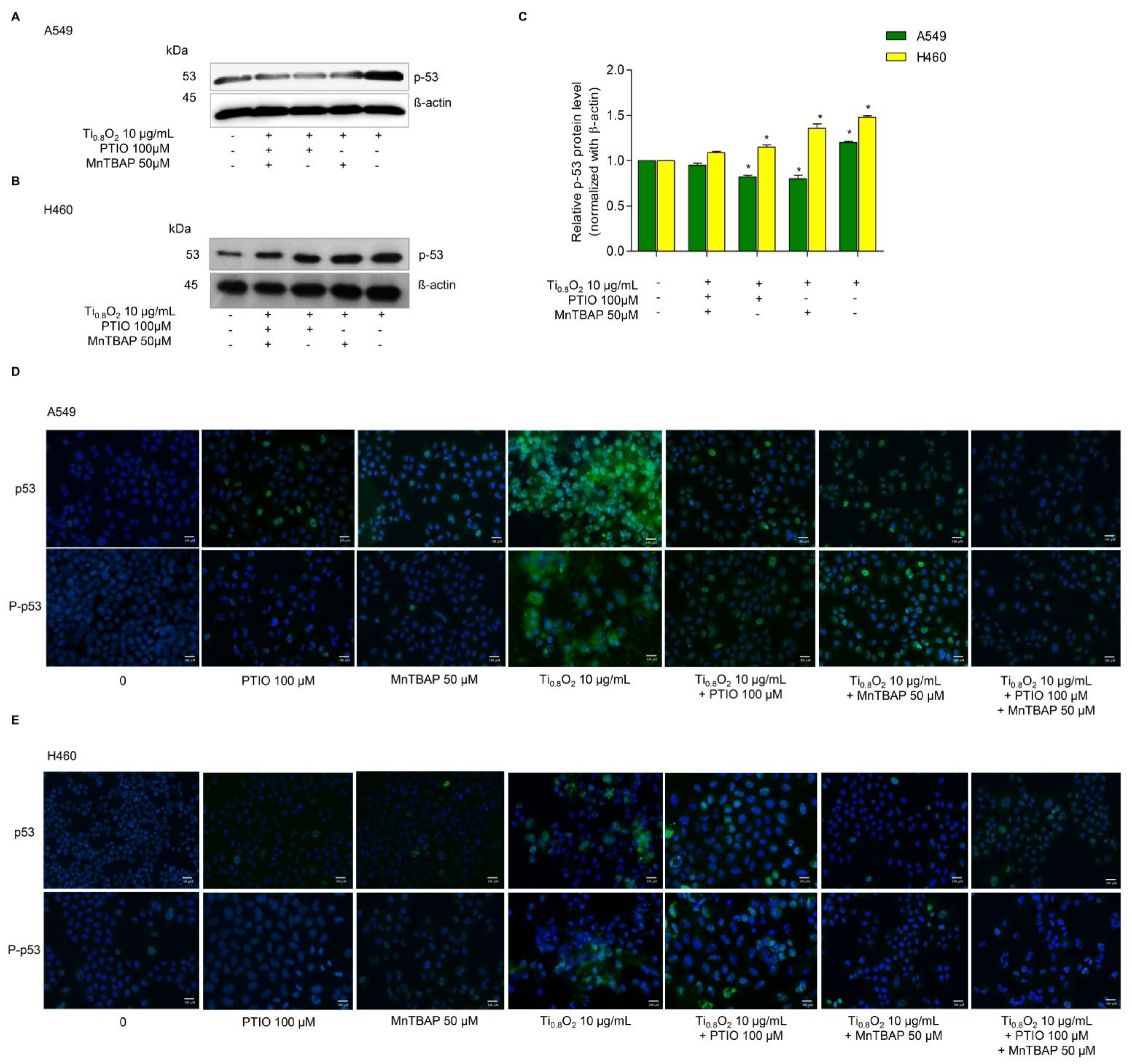 Pharmaceutics 13 01233 g007