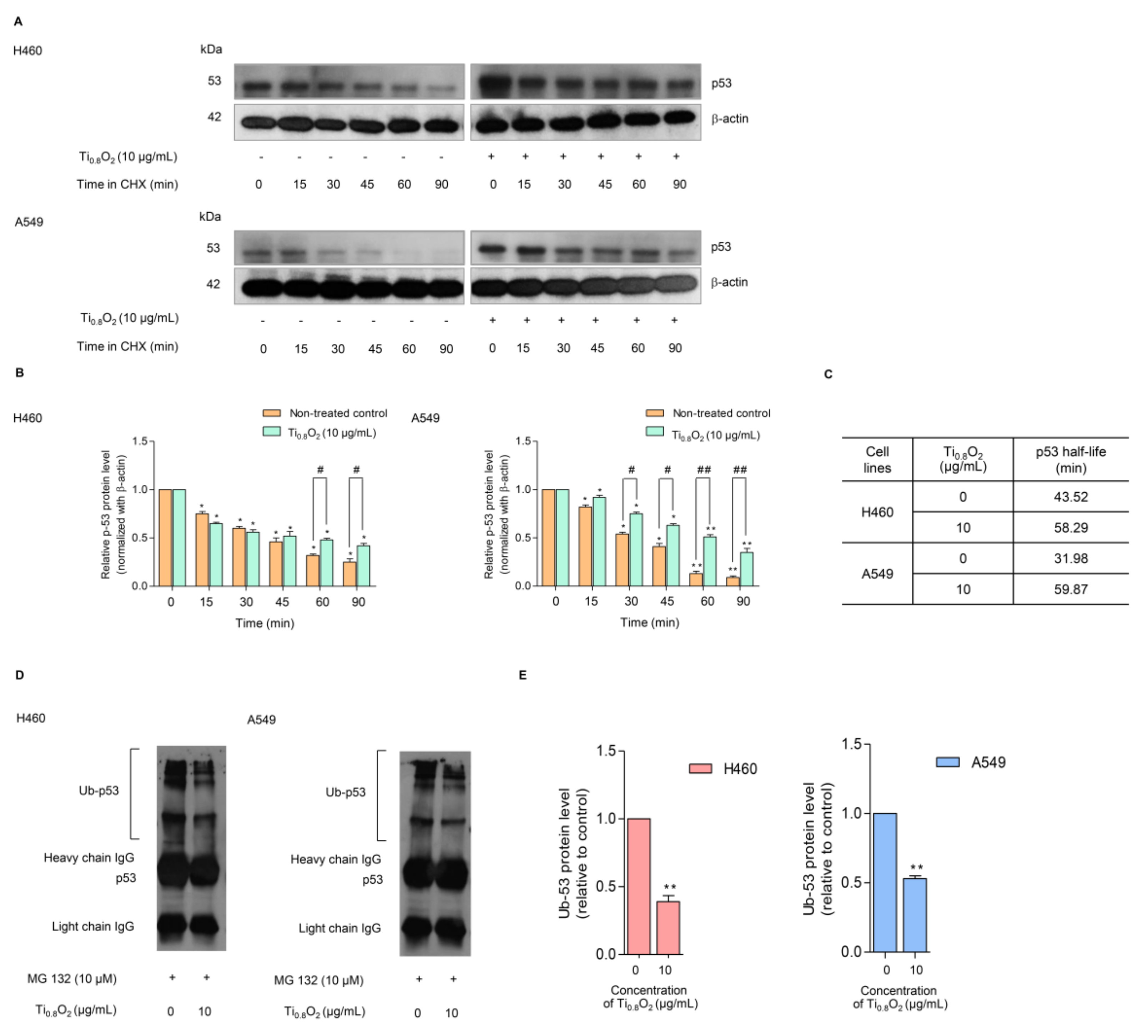 Pharmaceutics 13 01233 g008