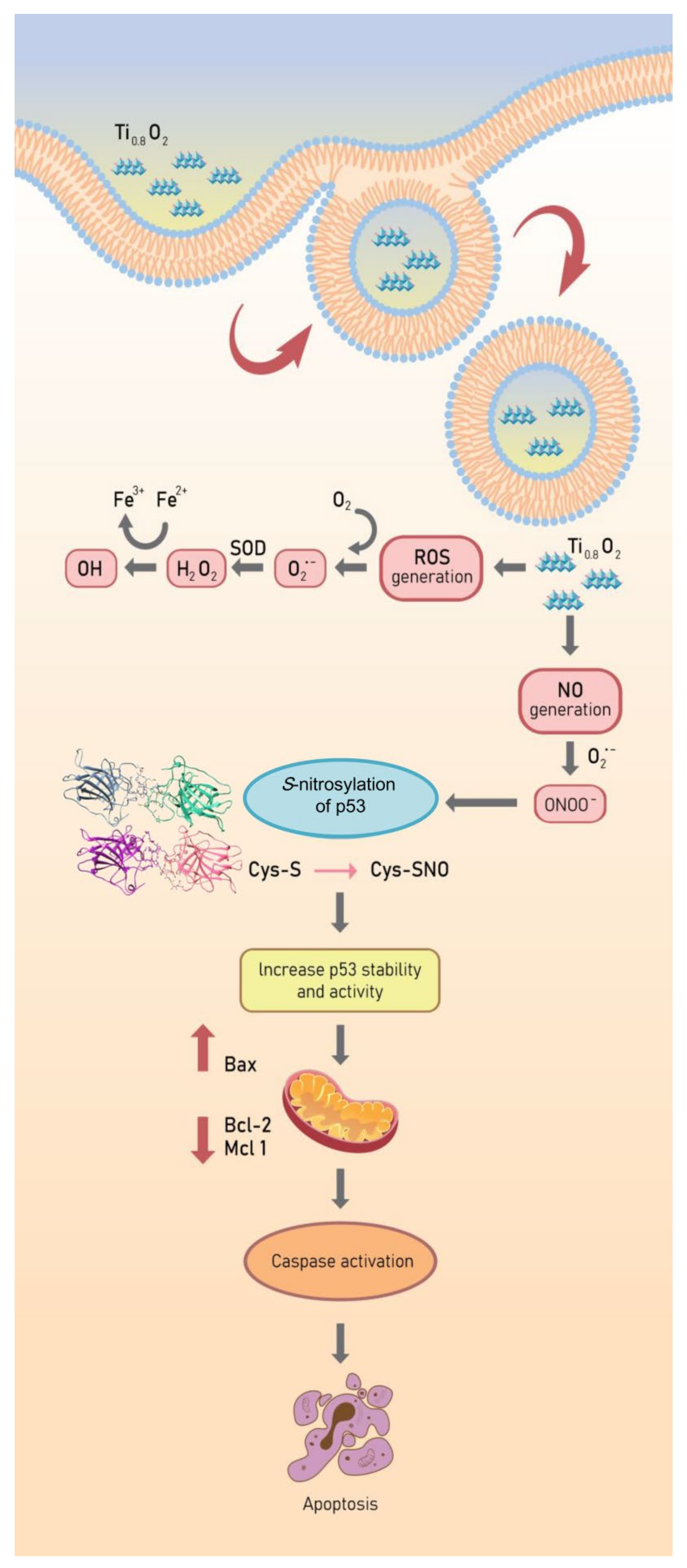 Pharmaceutics 13 01233 g010