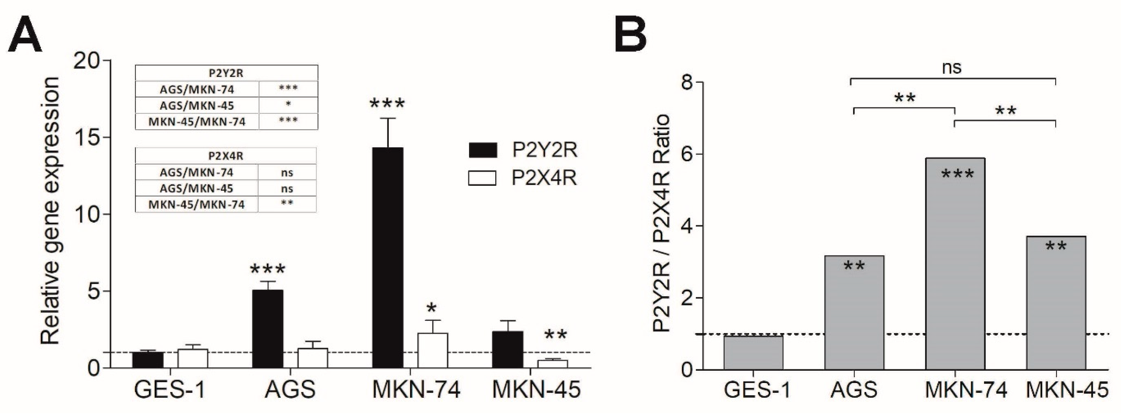 Pharmaceutics 13 01234 g002
