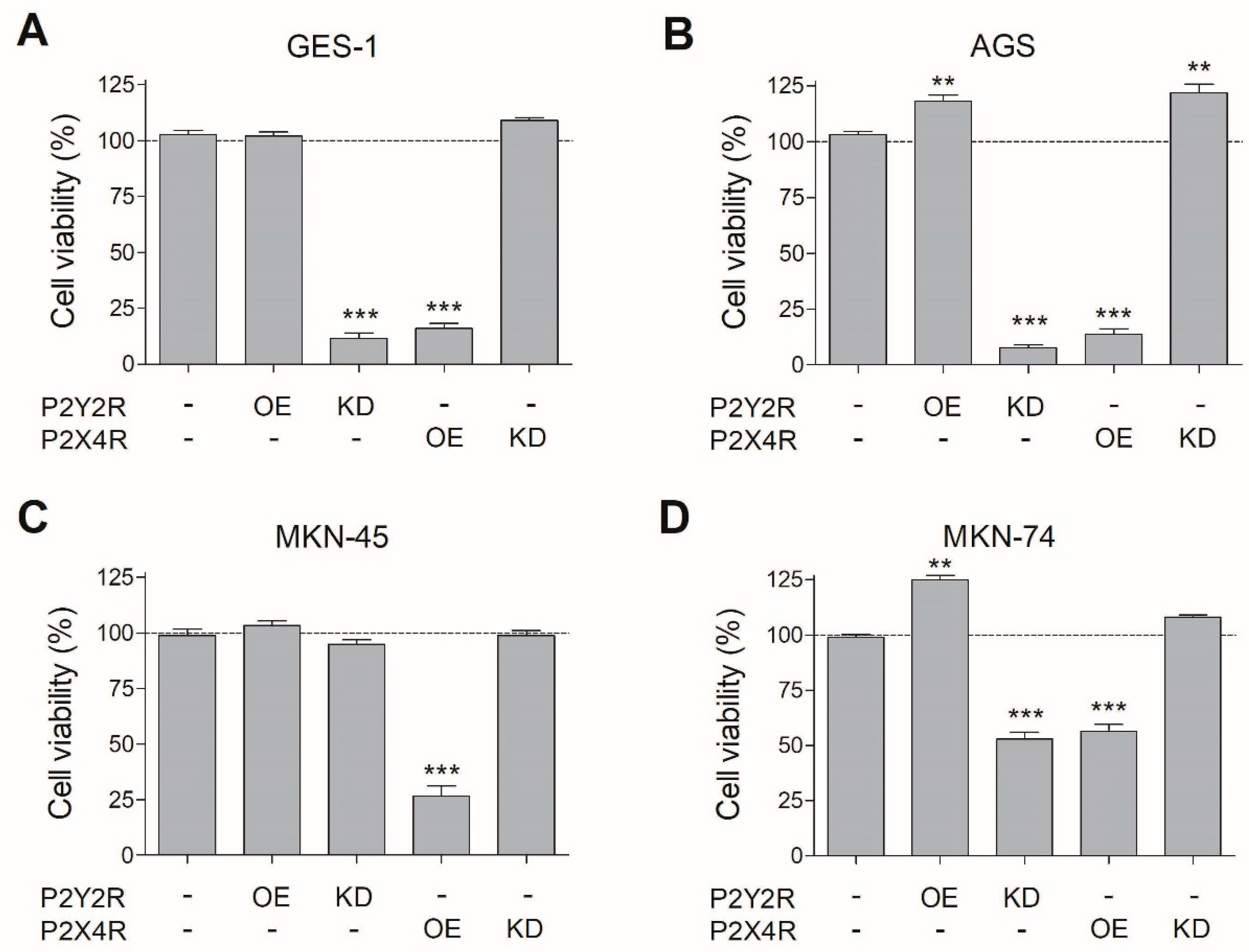 Pharmaceutics 13 01234 g003