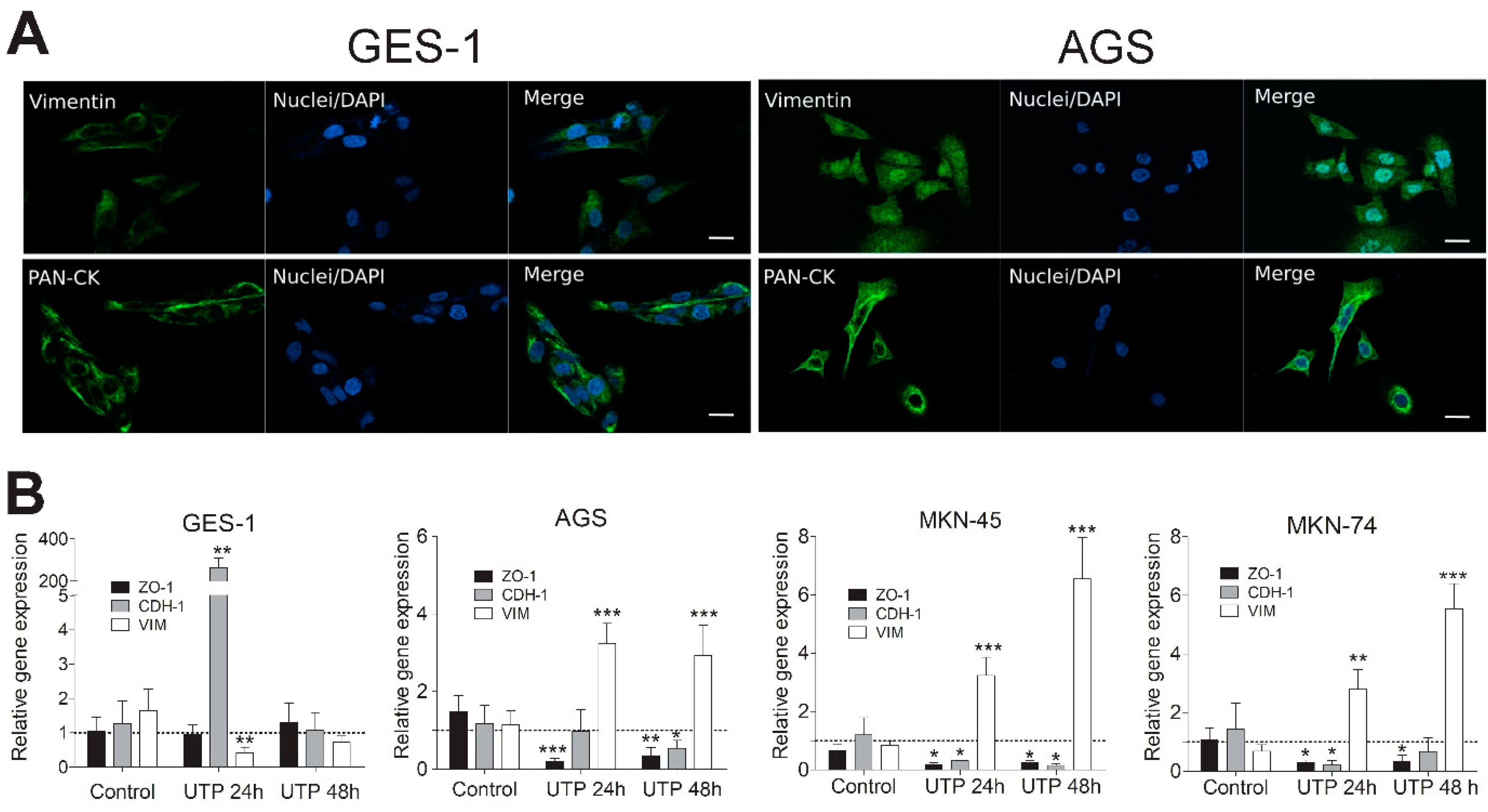 Pharmaceutics 13 01234 g005