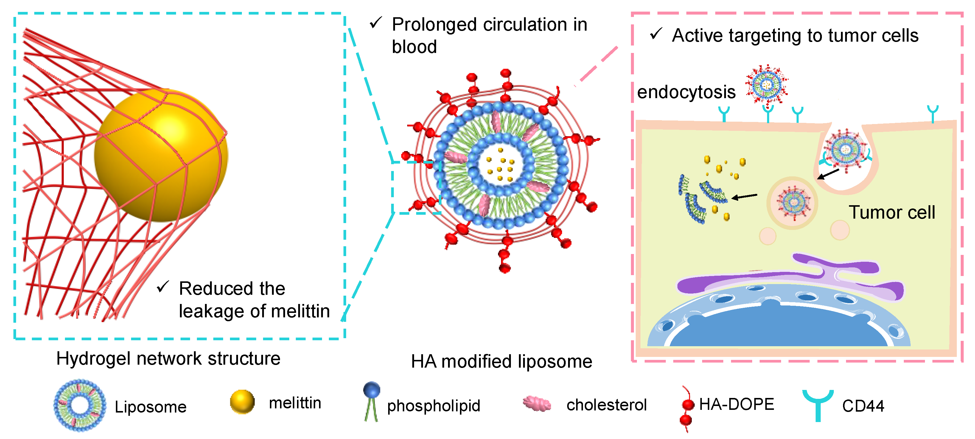 Pharmaceutics 13 01235 g001