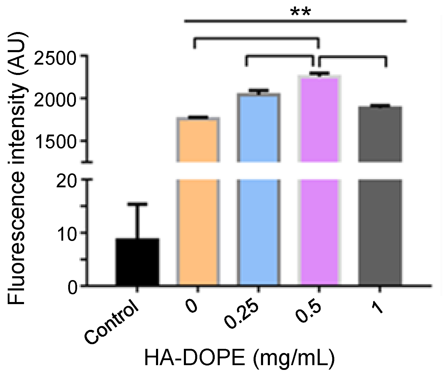 Pharmaceutics 13 01235 g004