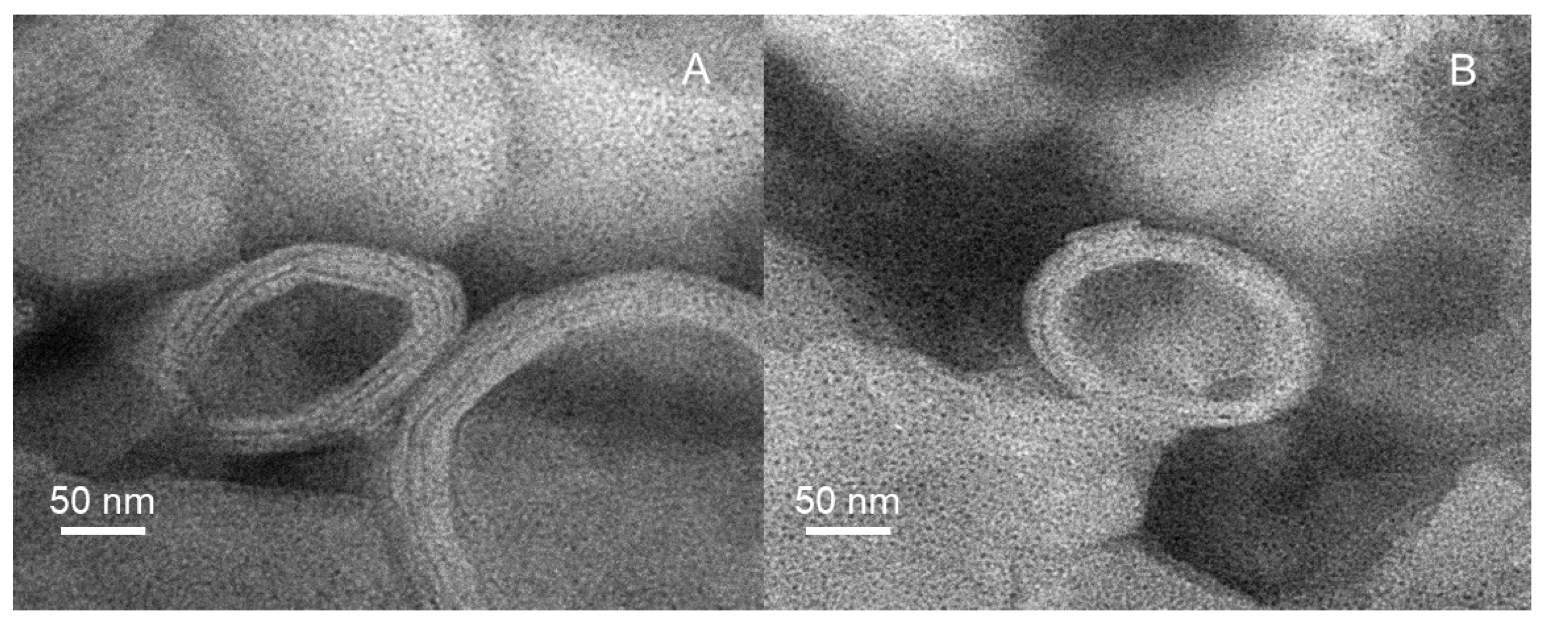 Pharmaceutics 13 01235 g005
