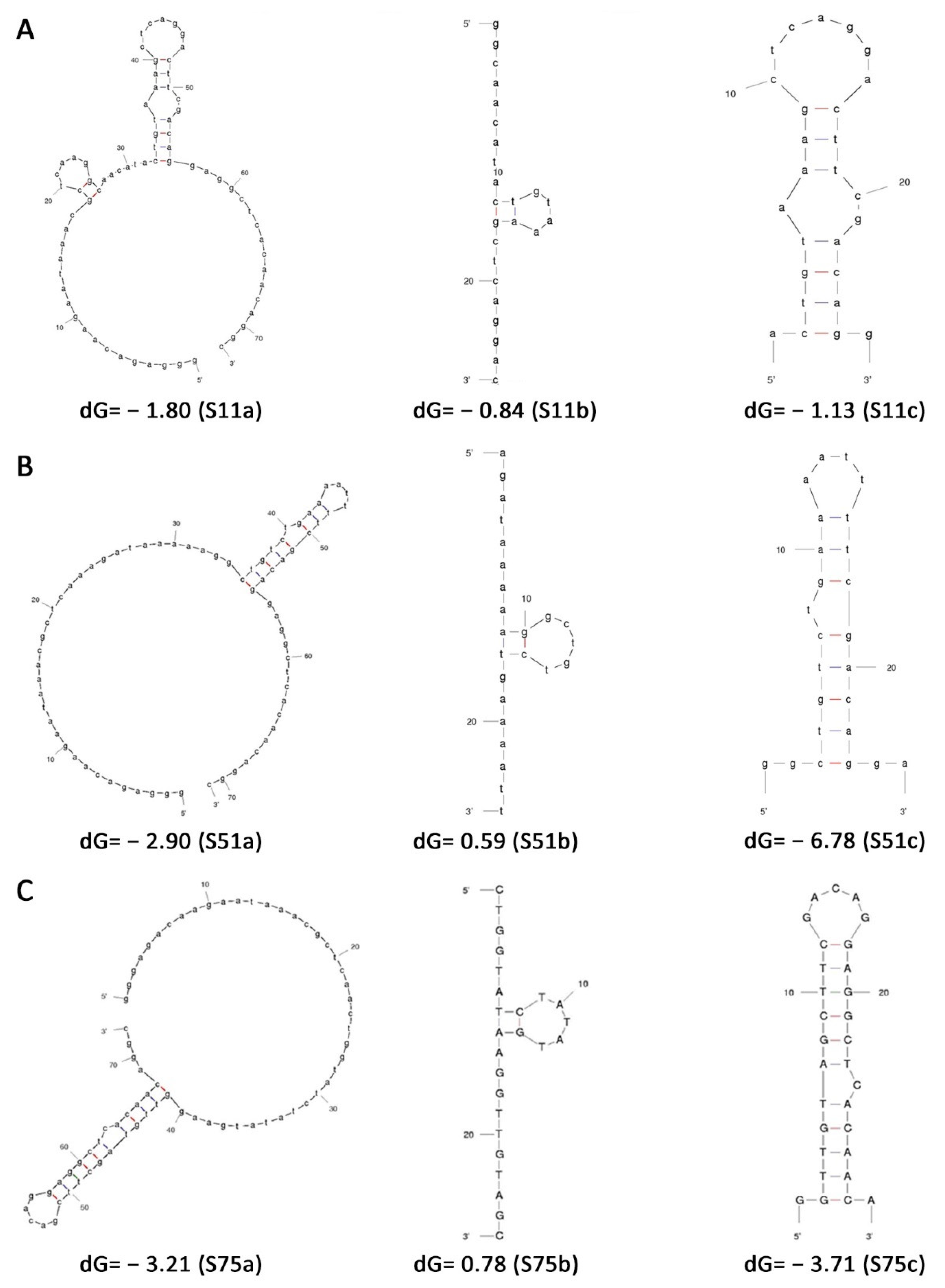 Pharmaceutics 13 01239 g001