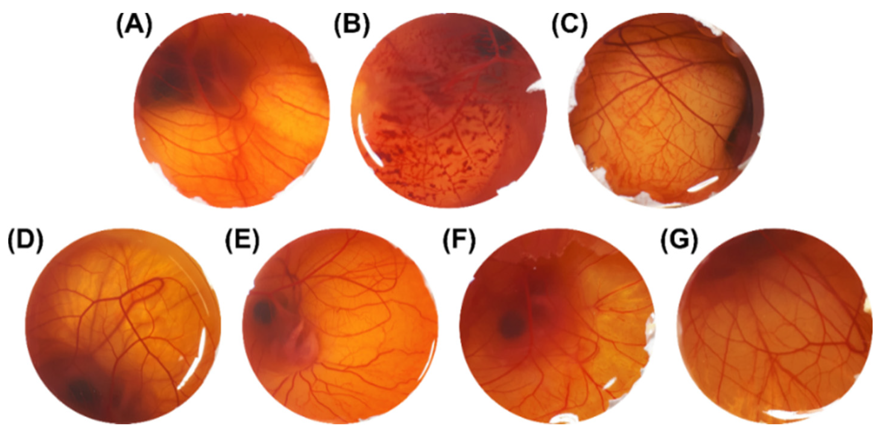 Pharmaceutics 13 01241 g005
